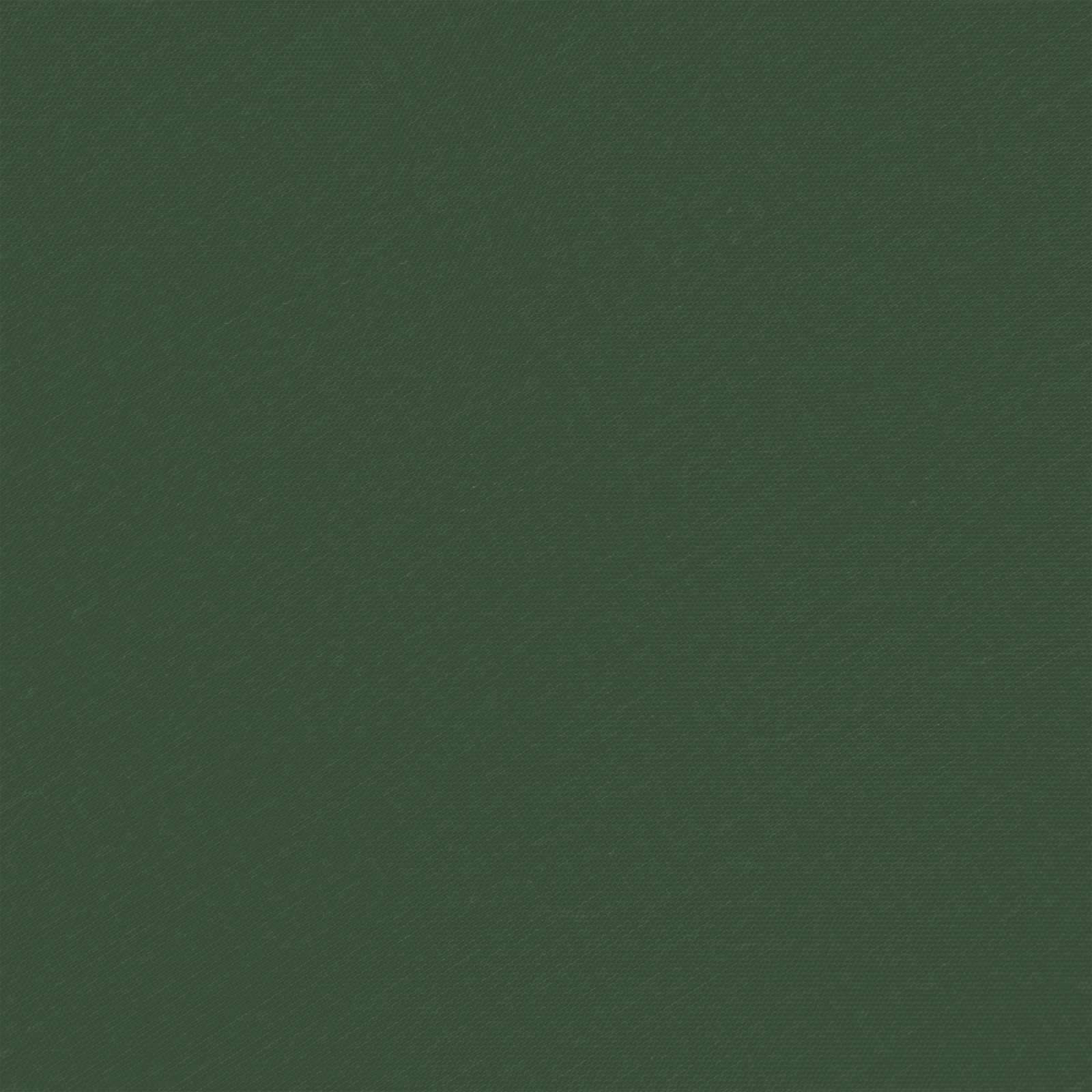 Tenda per feste a pop-up 195 x 195 x 245 cm Verde