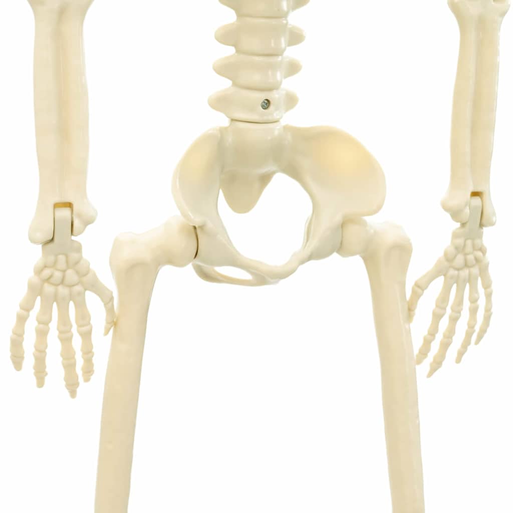 Scheletro di Halloween 2 pz Bianco 85 cm PVC