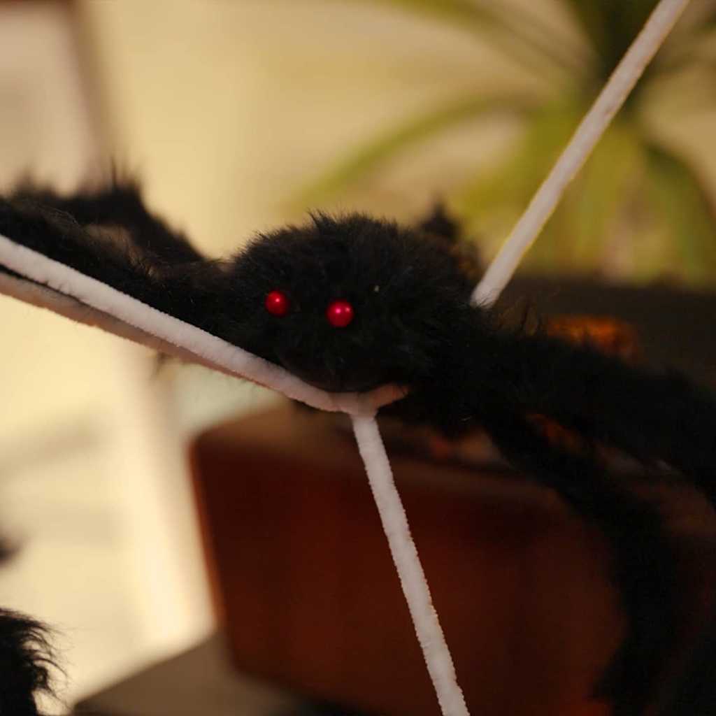 Decorazione di Halloween con ragni e ragnatele 2 pz 200 cm