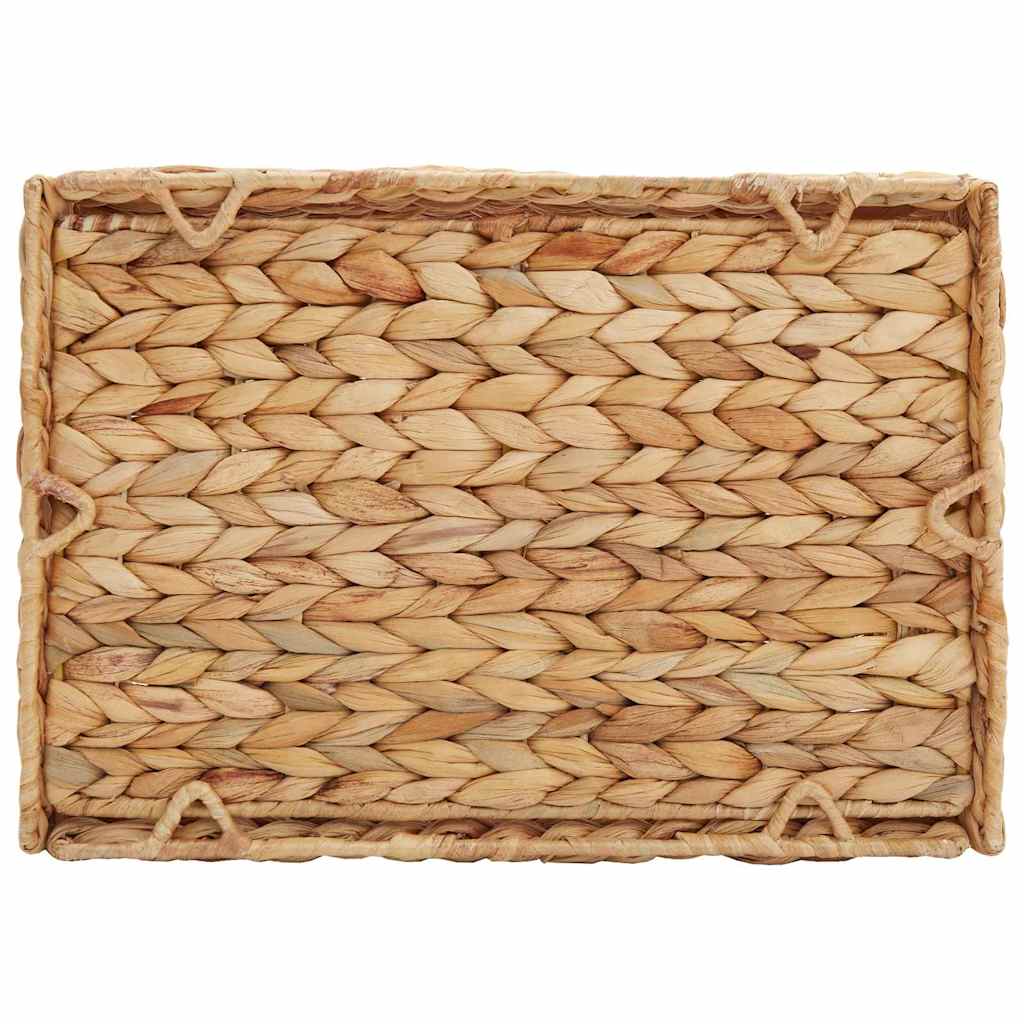 Cesti per Stoccaggio 2 pz Giacinto d'acqua 35 x 25 x 17 cm