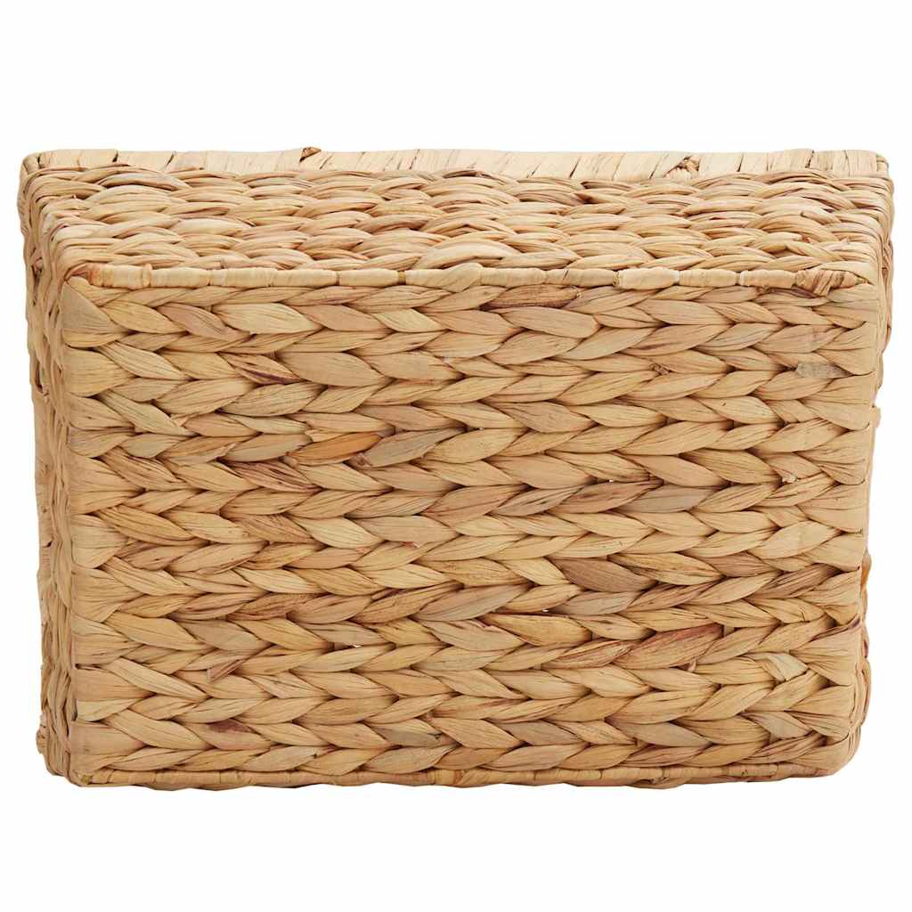 Cesti per Stoccaggio 2 pz Giacinto d'acqua 38 x 28 x 15 cm