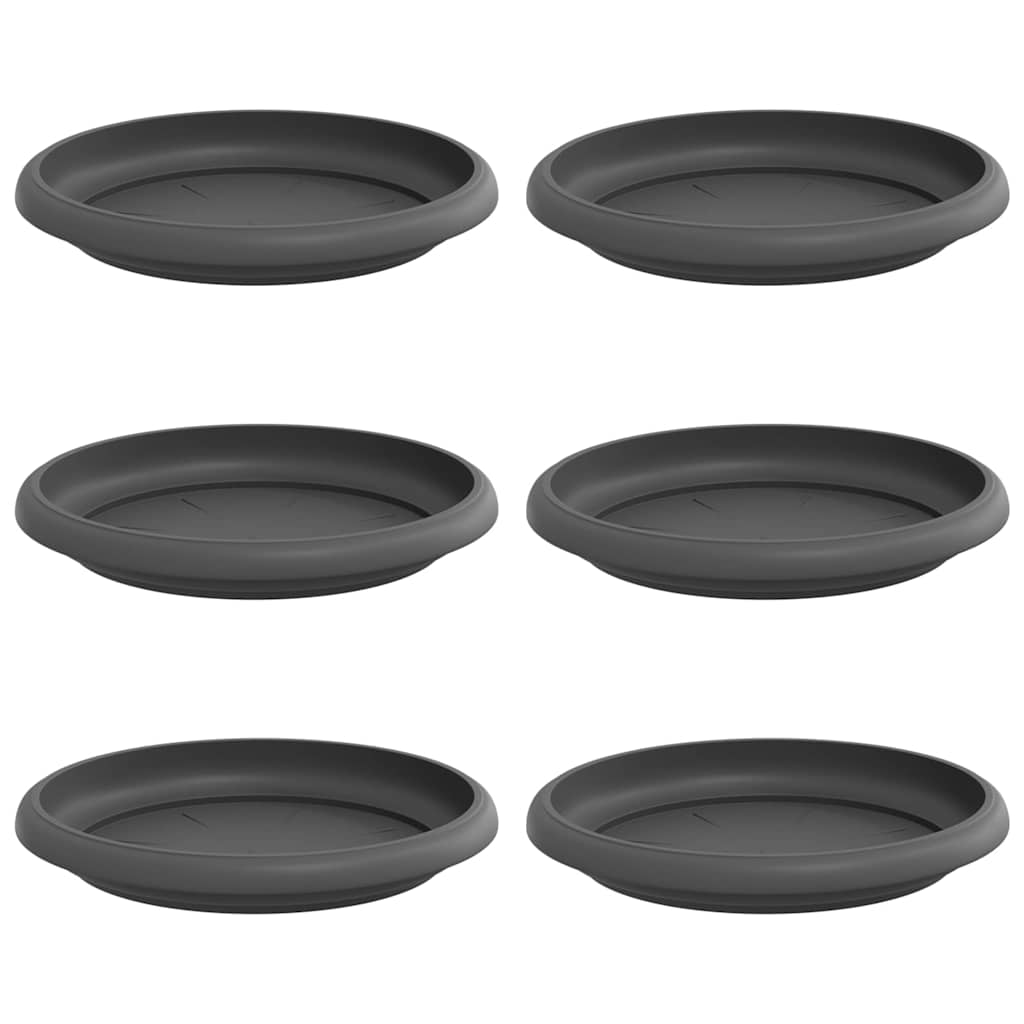 Vassoio Rotondo per Fiori 6 pz Nero Ø 15,5 x 2 cm Plastica