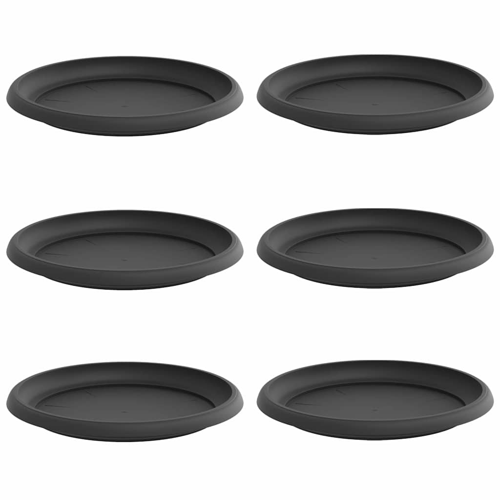 Vassoio Rotondo per Fiori 6 pz Nero Ø 23,5 x 2,5 cm Plastica