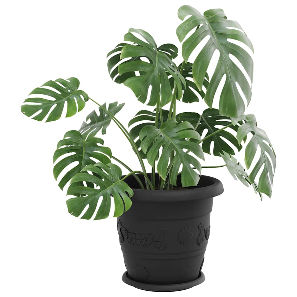 Vassoio Rotondo per Fiori 6 pz Nero Ø 23,5 x 2,5 cm Plastica