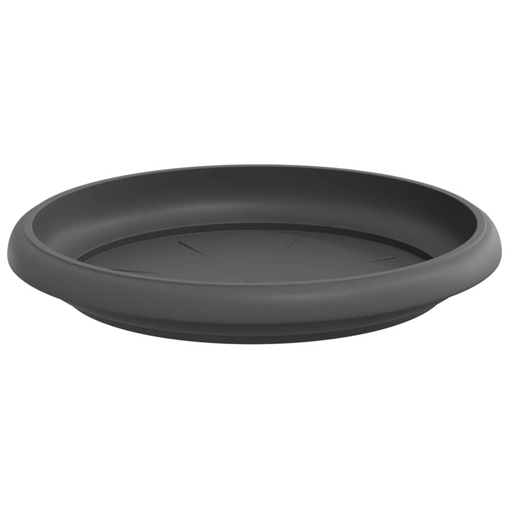 Vassoio Rotondo per Fiori 24 pz Nero Ø 14 x 2 cm Plastica