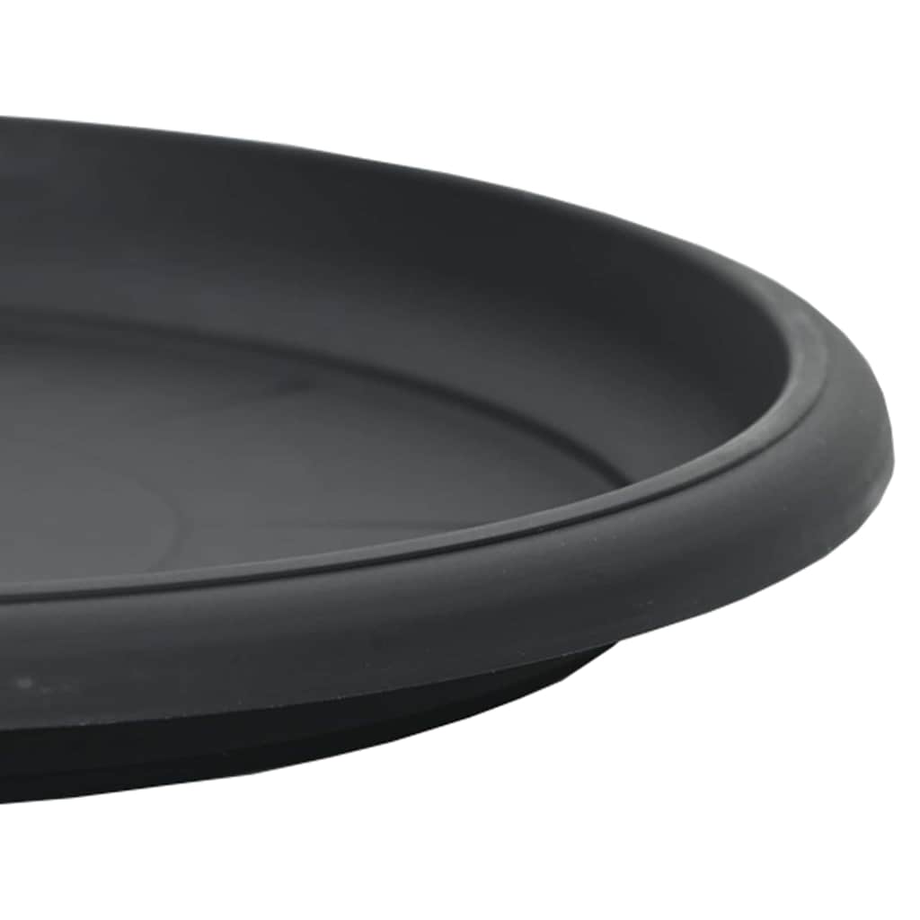 Vassoio Rotondo per Fiori 24 pz Nero Ø 14 x 2 cm Plastica