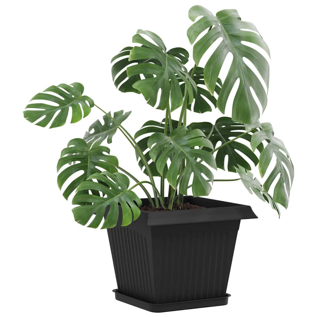 Vassoio Quadrato per Fiori 6 pz Nero 21 x 21 x 2 cm Plastica