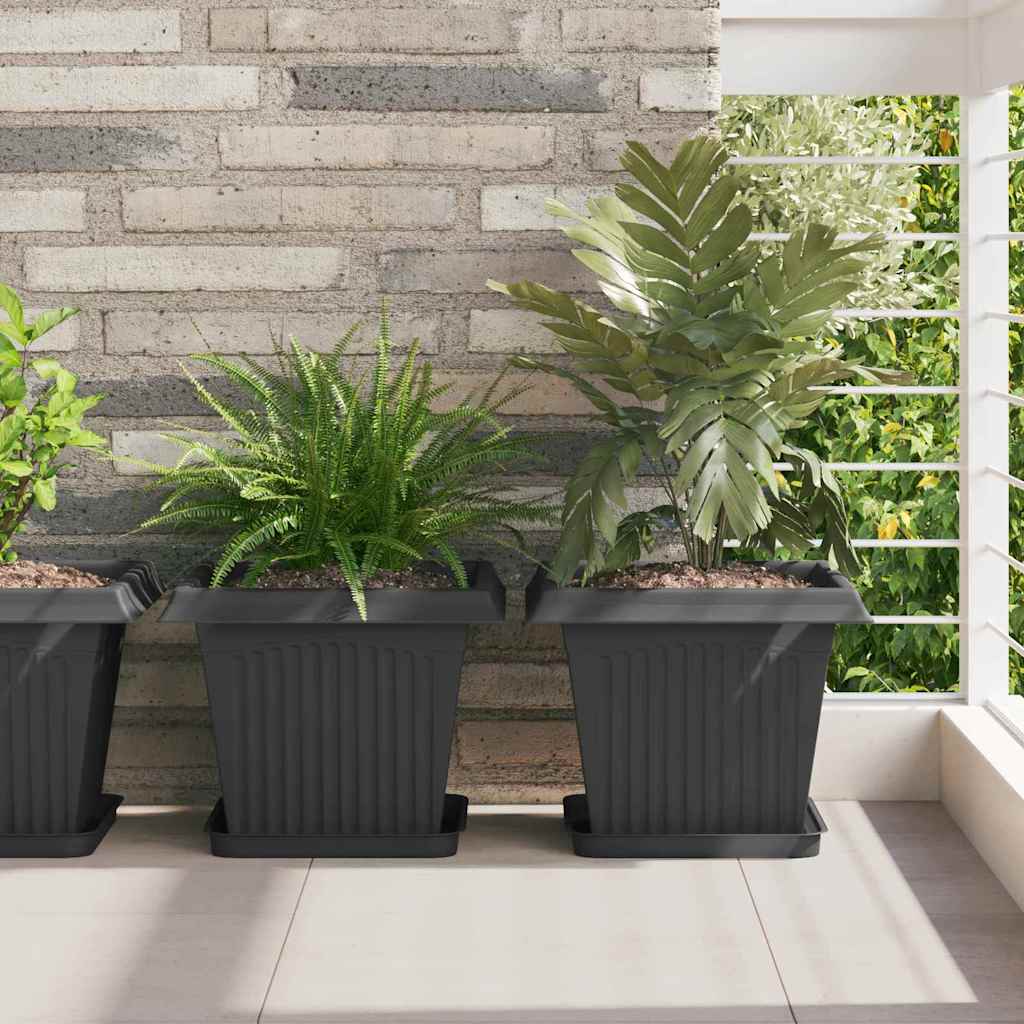 Vassoio Quadrato per Fiori 6 pz Nero 25,5 x 25,5 x 2,5 cm