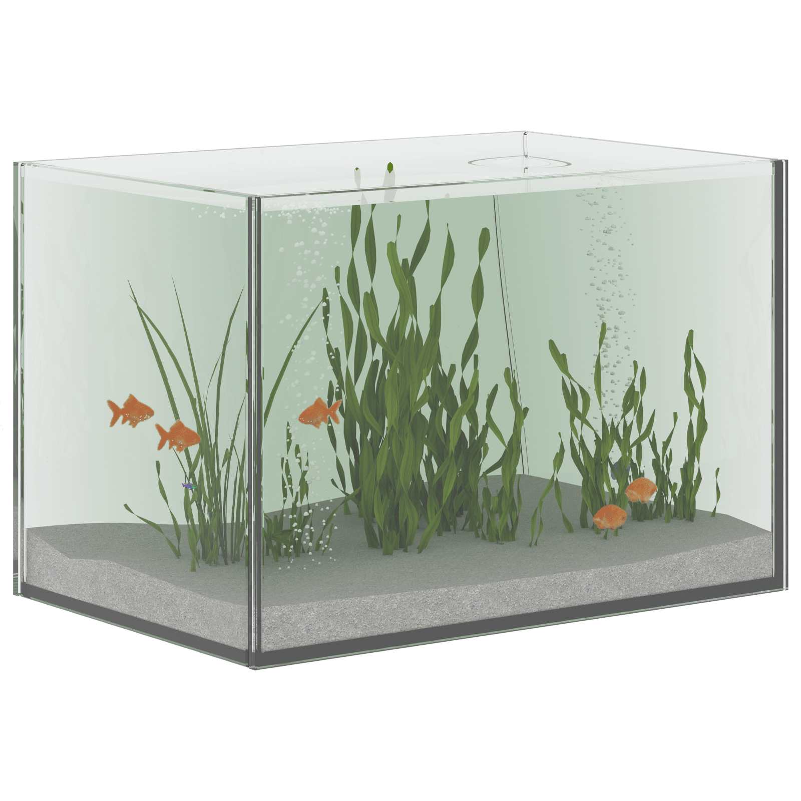 Acquario con archiviazione Trasparente 30 x 20 x 20 cm Vetro