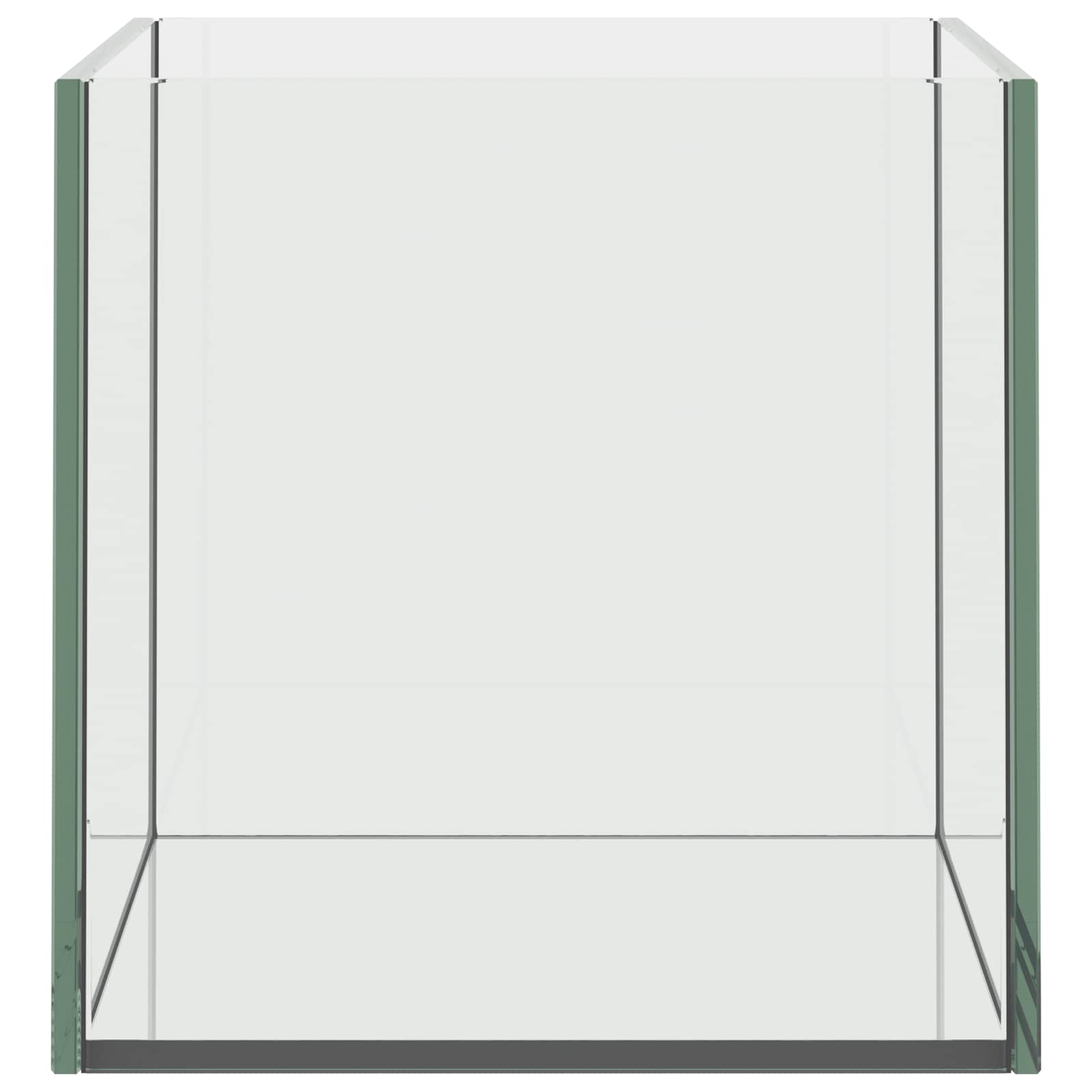 Acquario con archiviazione Trasparente 30 x 20 x 20 cm Vetro