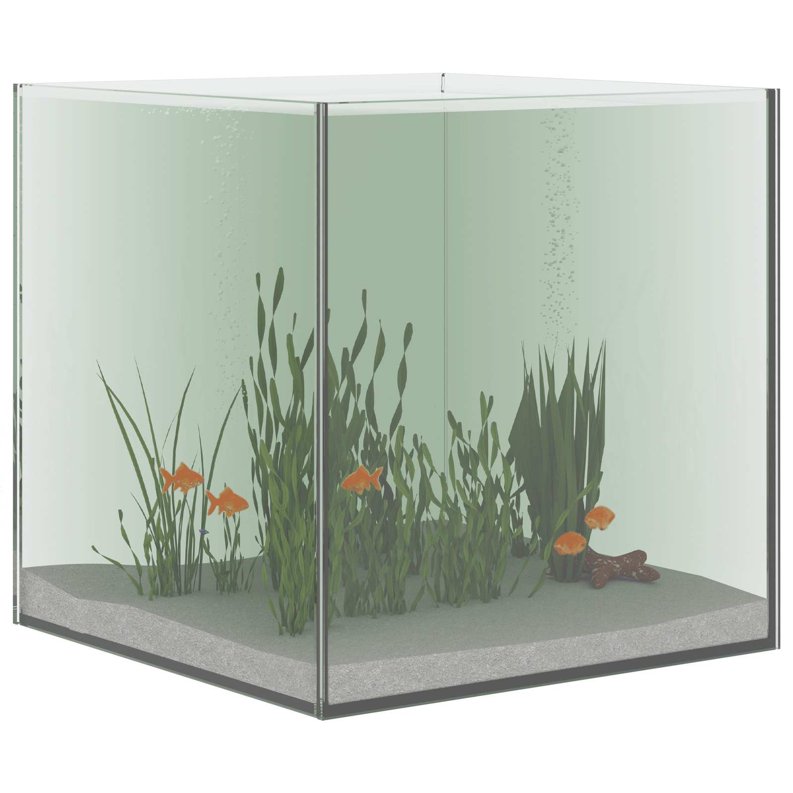 Acquario con archiviazione Trasparente 30 x 30 x 30 cm Vetro