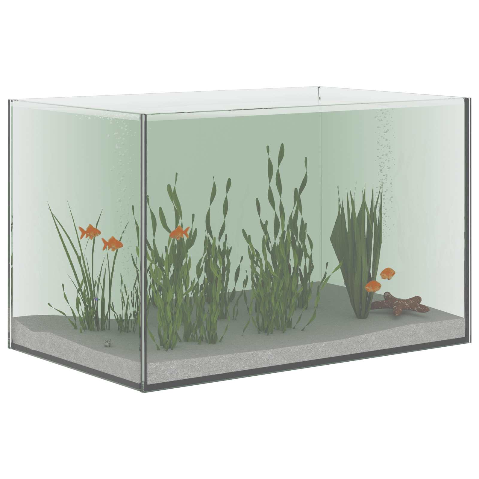 Acquario con archiviazione Trasparente 40 x 25 x 25 cm Vetro