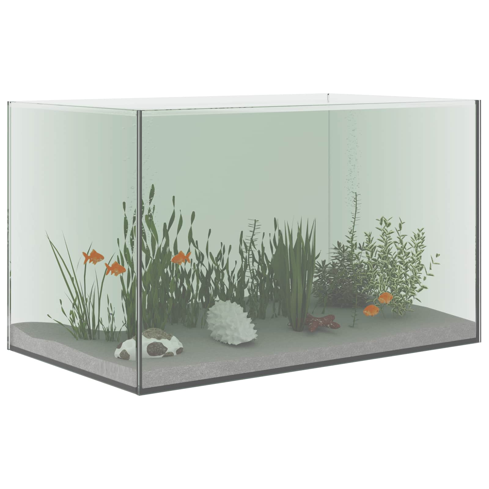 Acquario con archiviazione Trasparente 50 x 30 x 30 cm Vetro