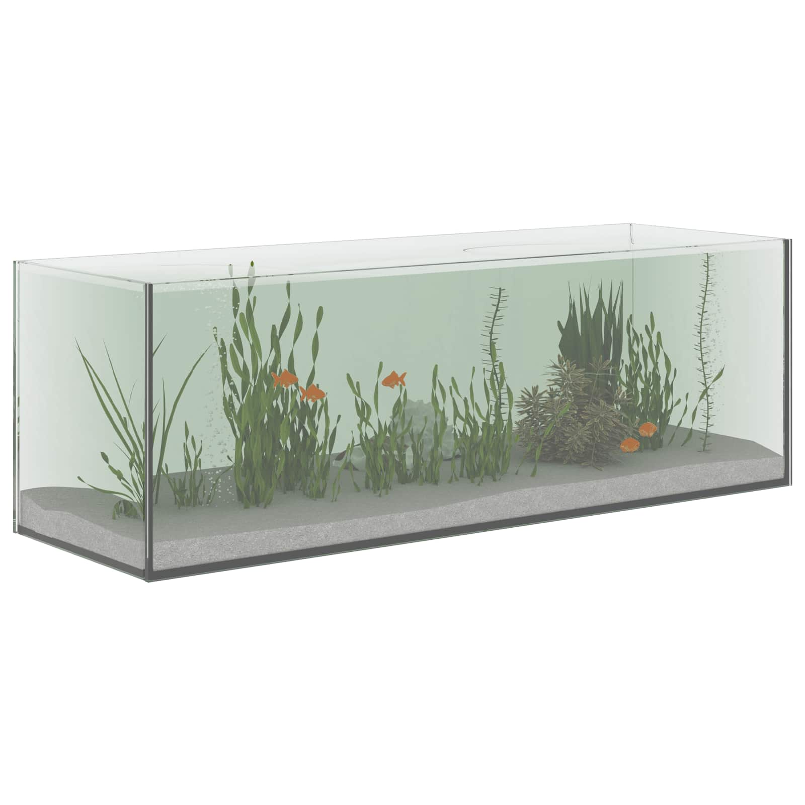Acquario con archiviazione Trasparente 60 x 20 x 20 cm Vetro