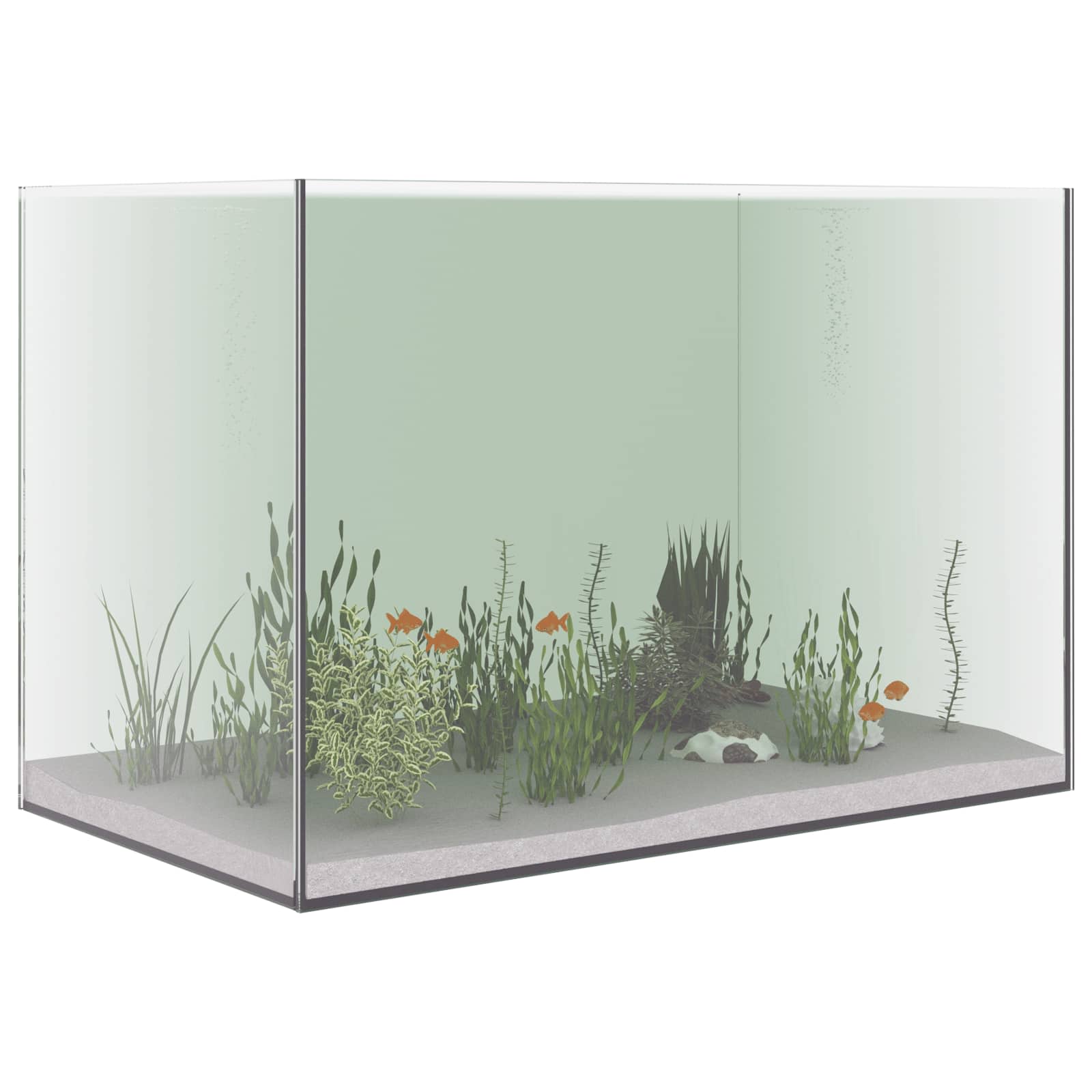 Acquario con archiviazione Trasparente 60 x 35 x 40 cm Vetro
