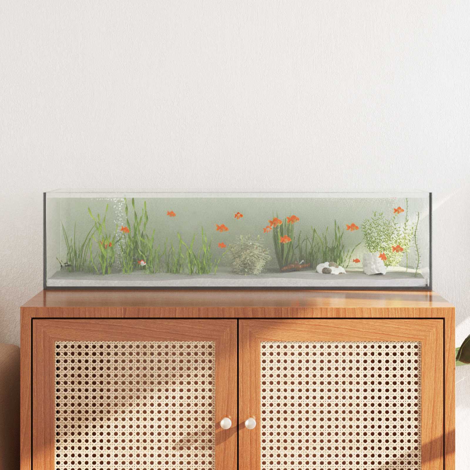 Acquario con archiviazione Trasparente 80 x 20 x 20 cm Vetro