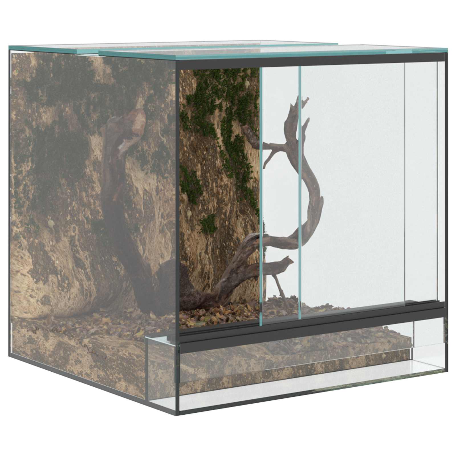 Terrario con archiviazione Trasparente 30 x 30 x 30 cm Vetro