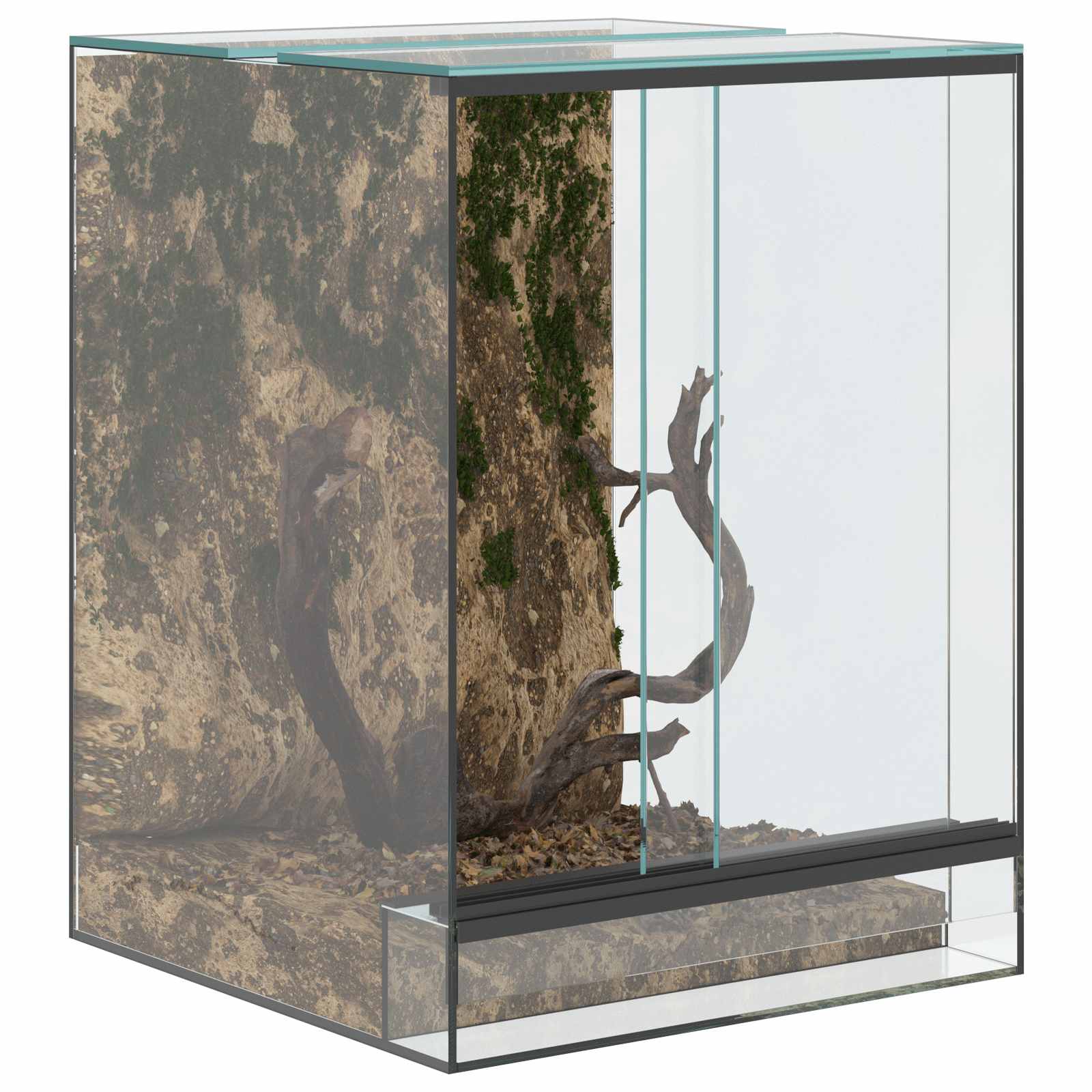 Terrario con archiviazione Trasparente 30 x 30 x 40 cm Vetro