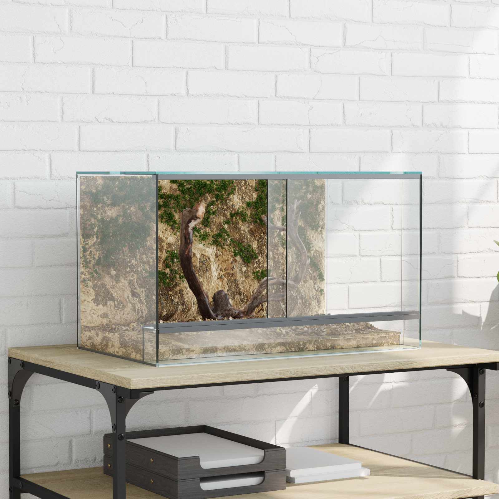 Terrario con archiviazione Trasparente 50 x 30 x 30 cm Vetro