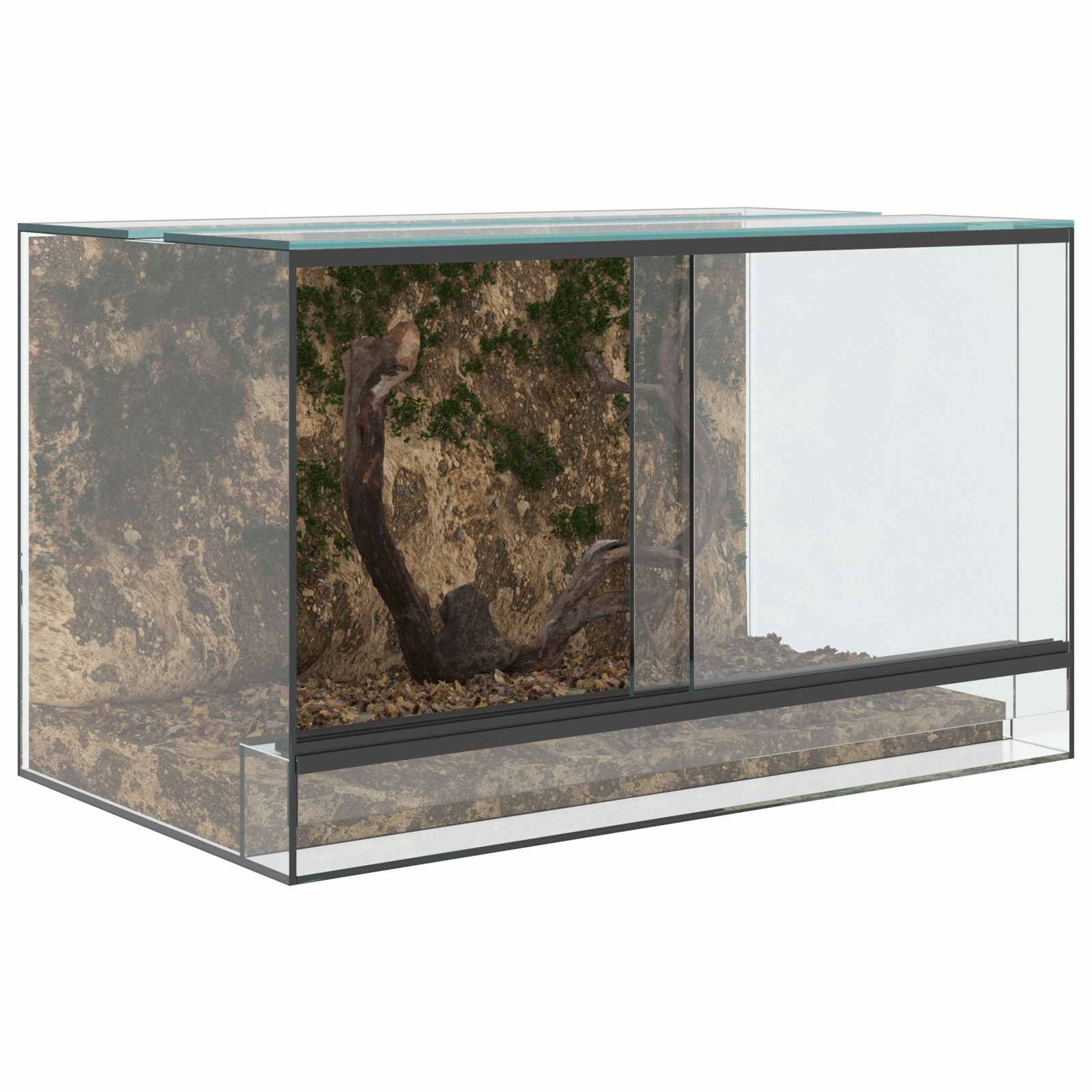 Terrario con archiviazione Trasparente 50 x 30 x 30 cm Vetro
