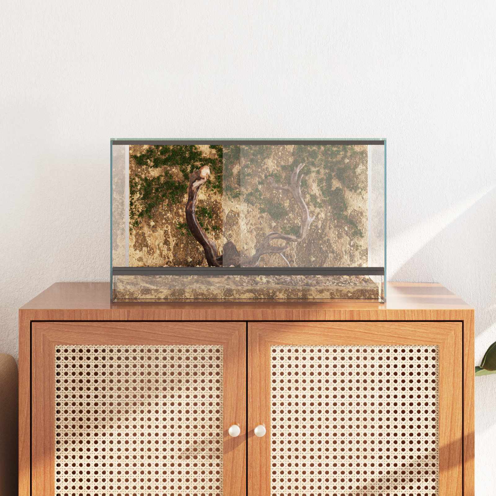 Terrario con archiviazione Trasparente 50 x 30 x 30 cm Vetro