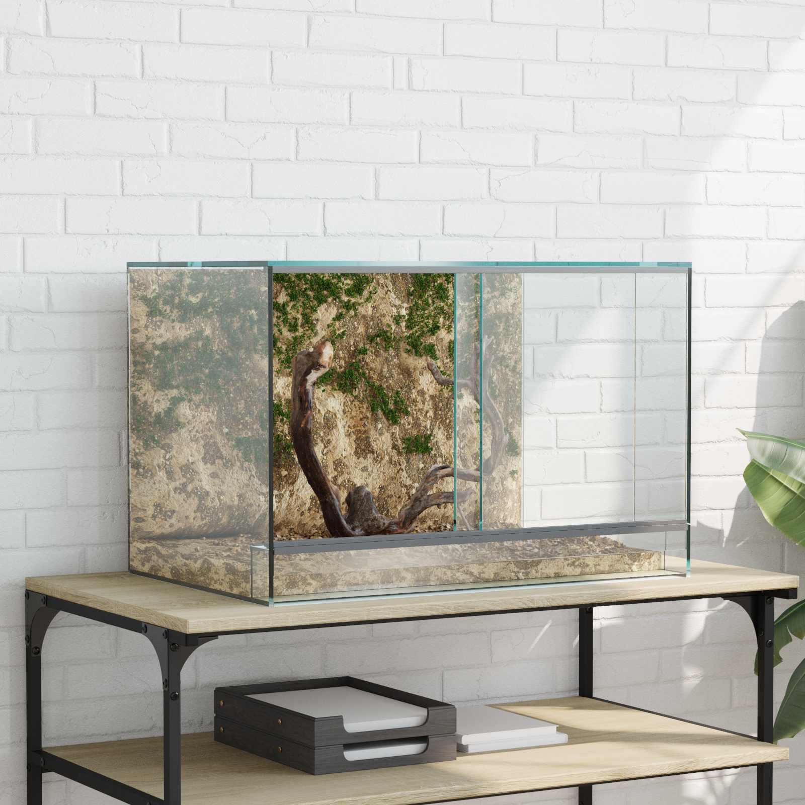 Terrario con archiviazione Trasparente 60 x 40 x 40 cm Vetro