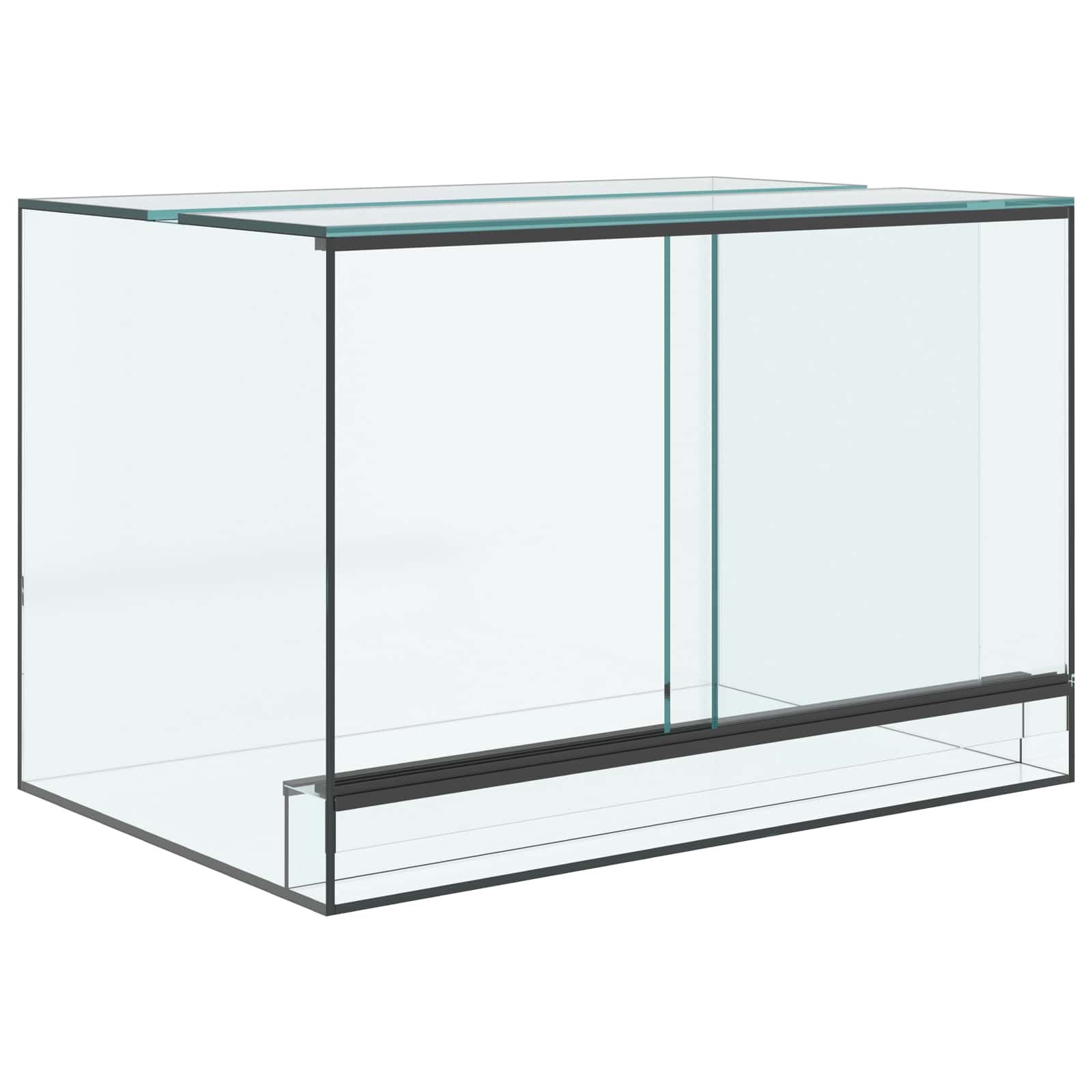 Terrario con archiviazione Trasparente 60 x 40 x 40 cm Vetro