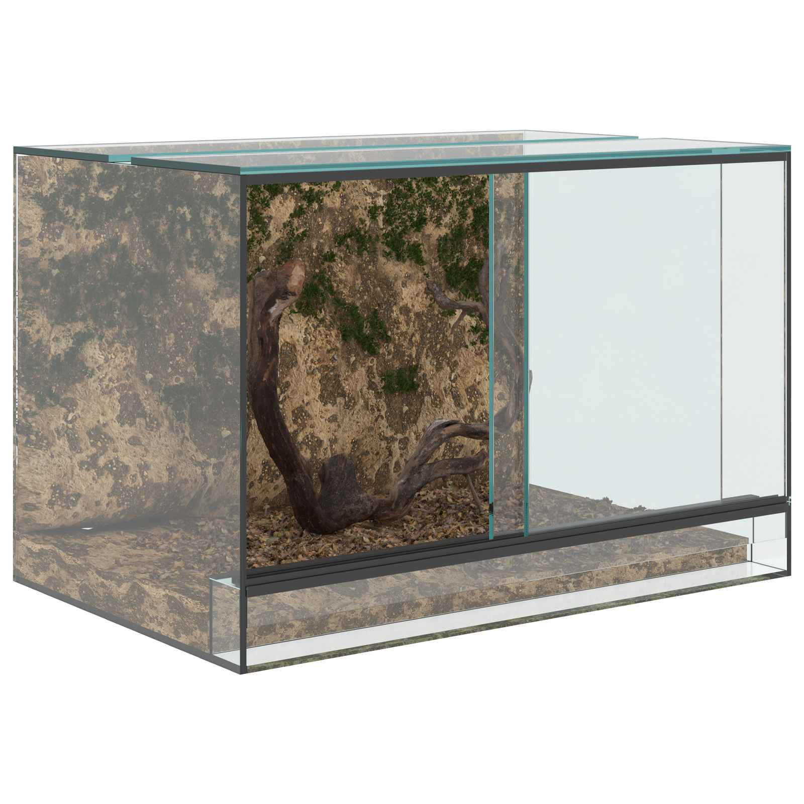 Terrario con archiviazione Trasparente 60 x 40 x 40 cm Vetro
