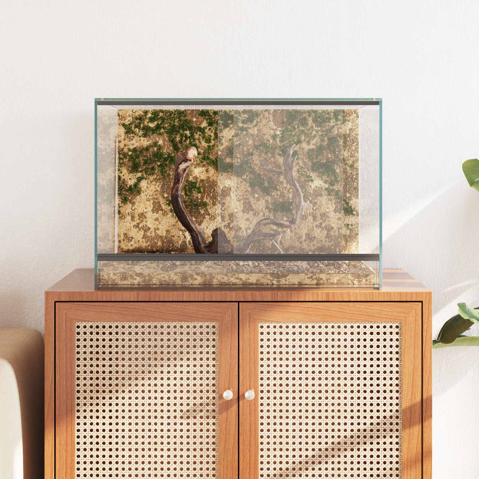 Terrario con archiviazione Trasparente 60 x 40 x 40 cm Vetro