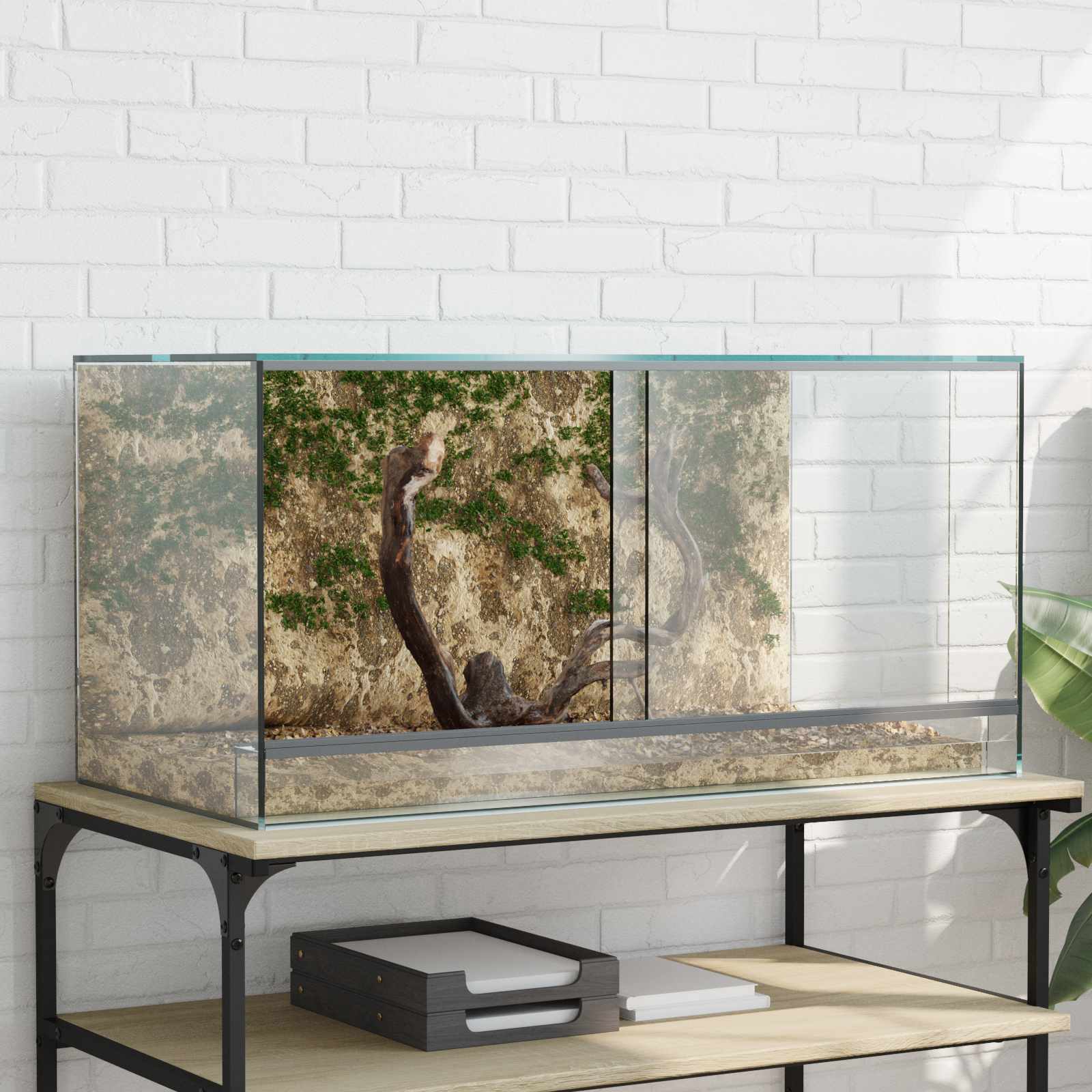Terrario con archiviazione Trasparente 80 x 40 x 40 cm Vetro