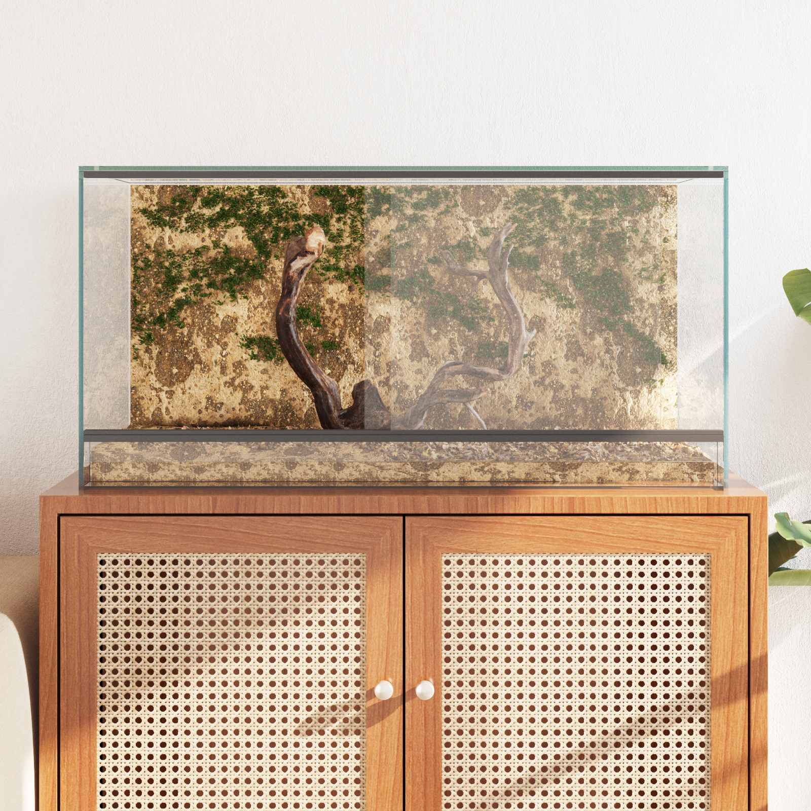 Terrario con archiviazione Trasparente 80 x 40 x 40 cm Vetro