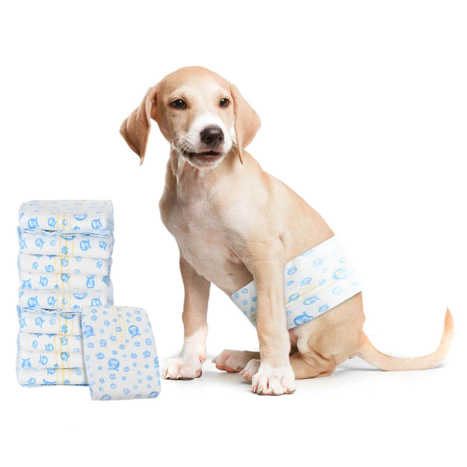 Pannolino usa e getta per cani maschi 30 pz Bianco L