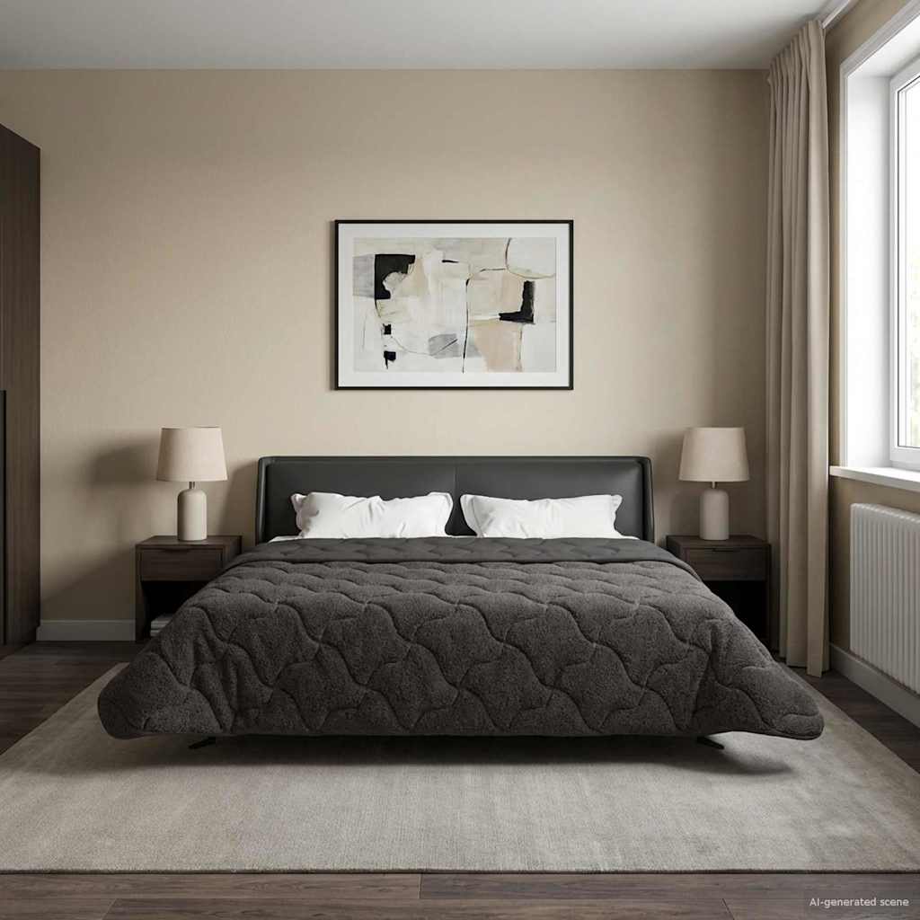 Piumone Invernale 200 x 200 cm Inverno Antracite Traspirante