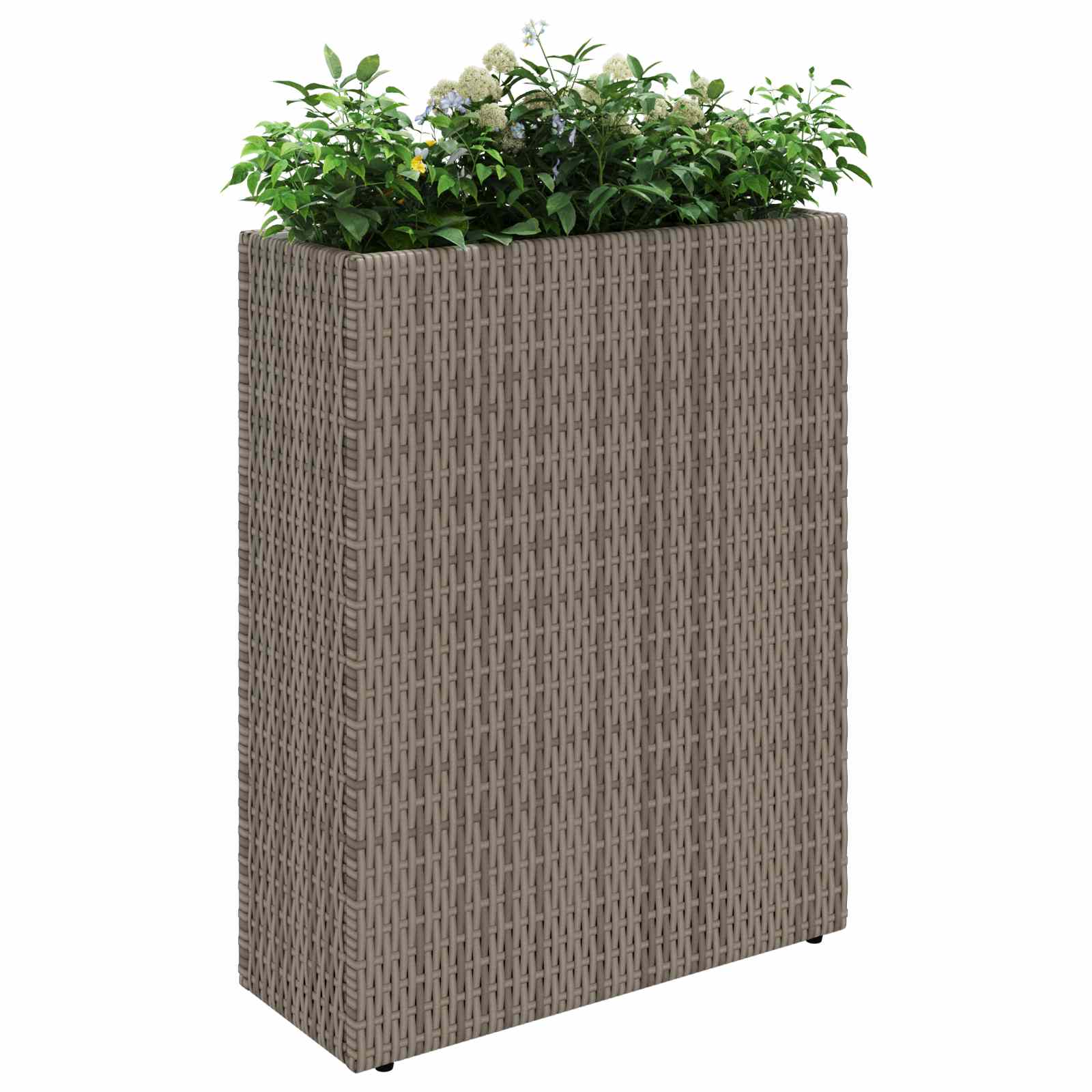 Vasetto alto 55 x 22 x 70 cm Sì