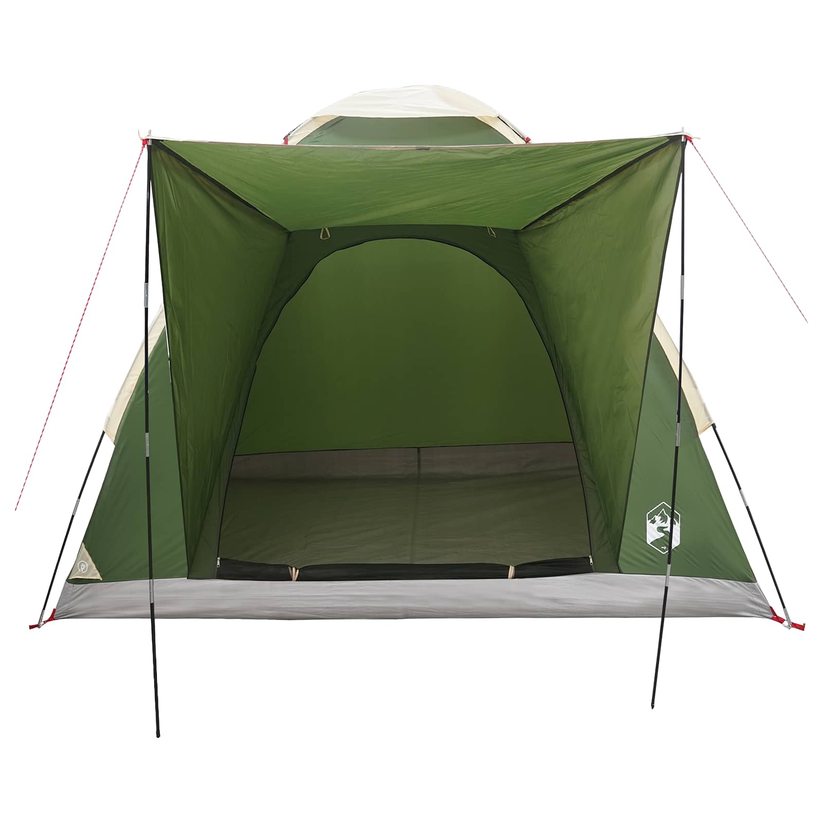 Tenda da campeggio 2 persona Verde Poliestere e Acciaio
