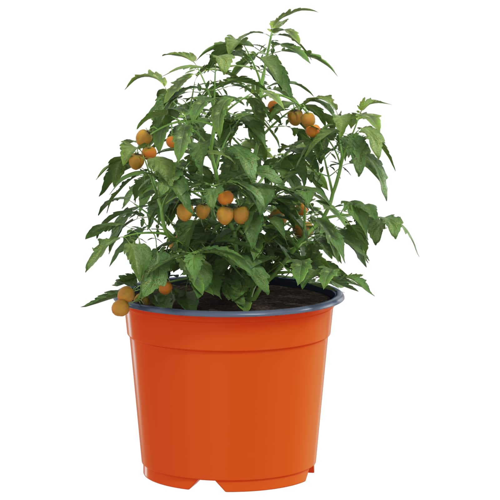 Vaso Rotondo per Fiori 50 pz Terracotta Ø 10 x 8 cm Plastica
