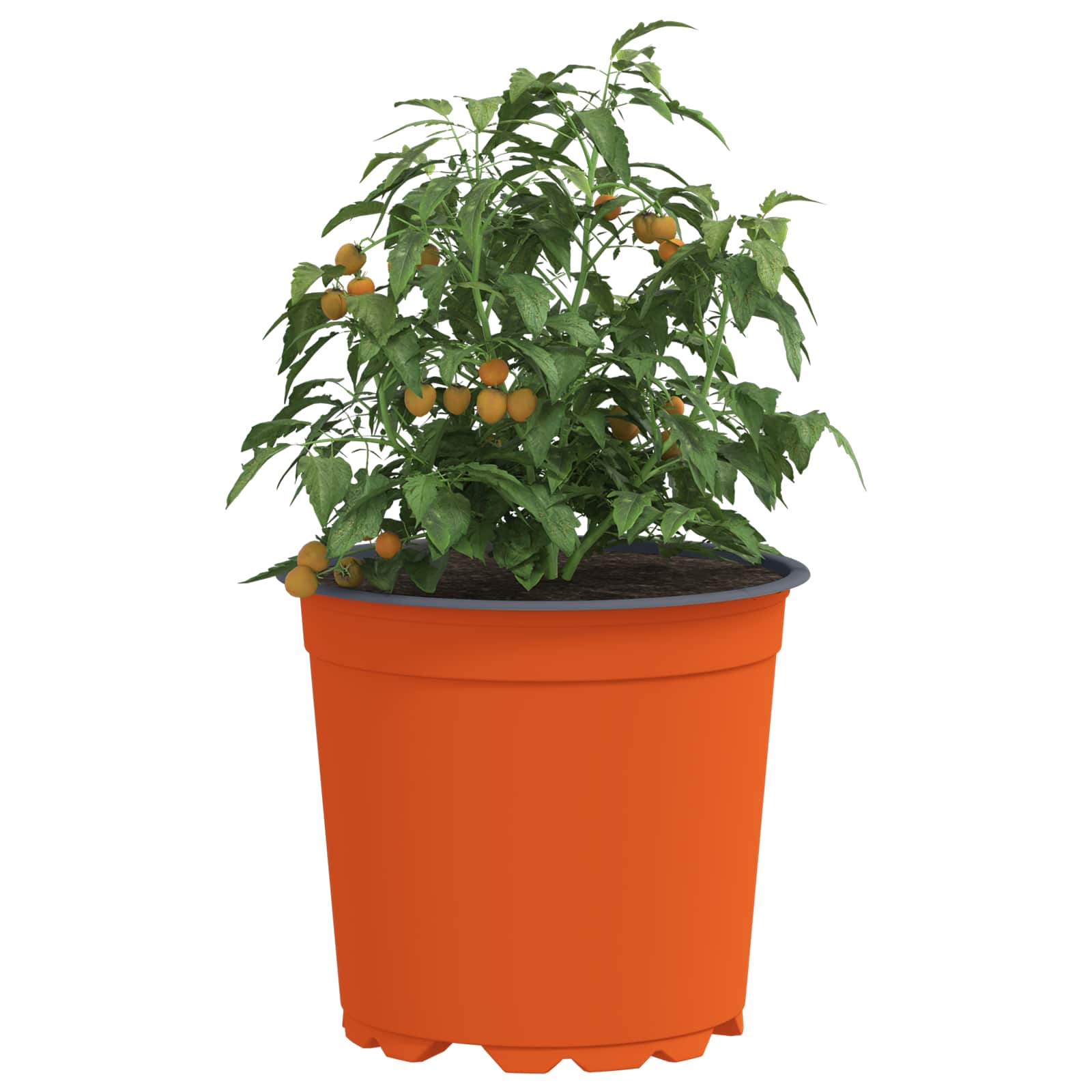 Vaso Rotondo per Fiori 200 pz Terracotta Ø 15 x 13 cm Plastica