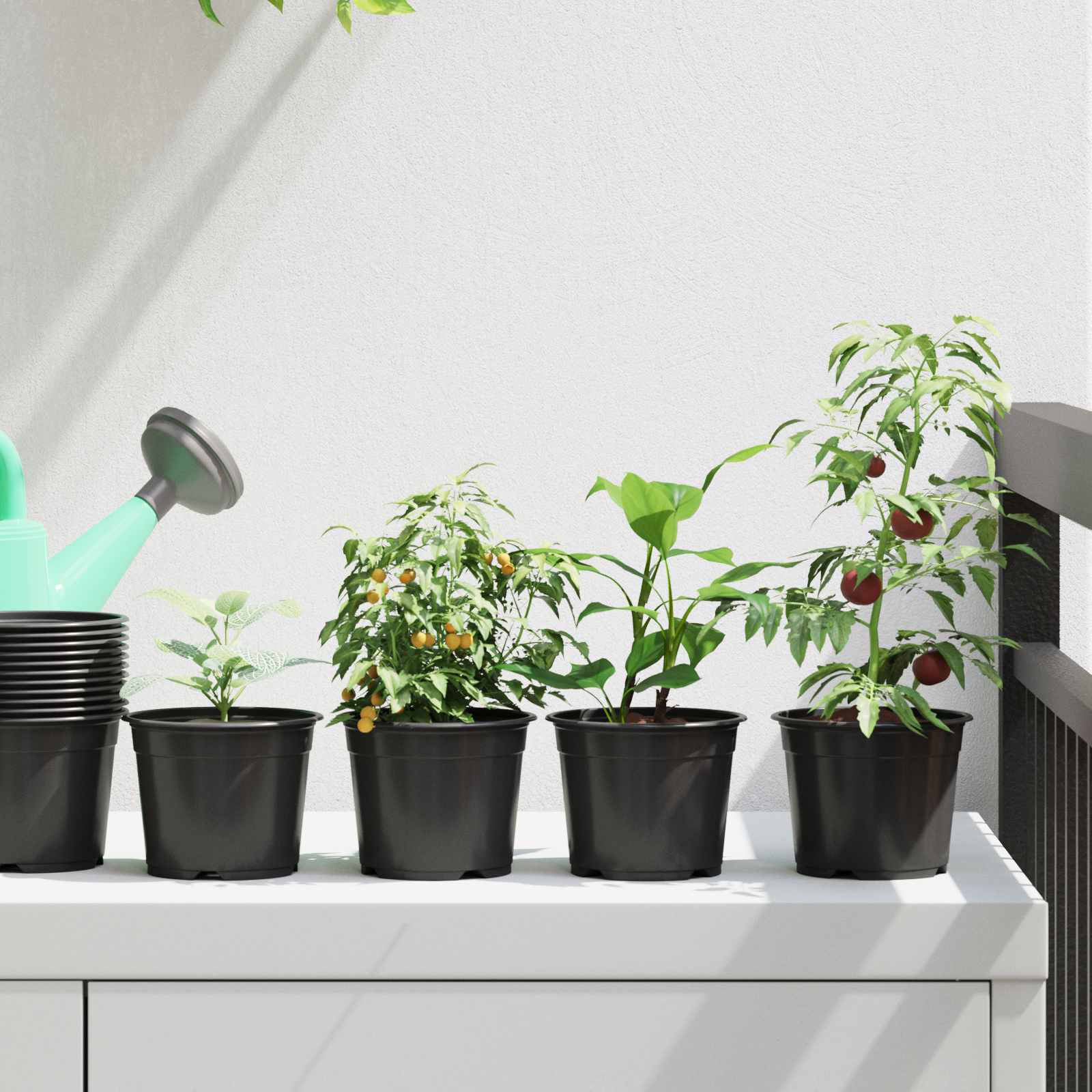 Vaso Rotondo per Fiori 200 pz Nero Ø 10 x 8 cm Plastica