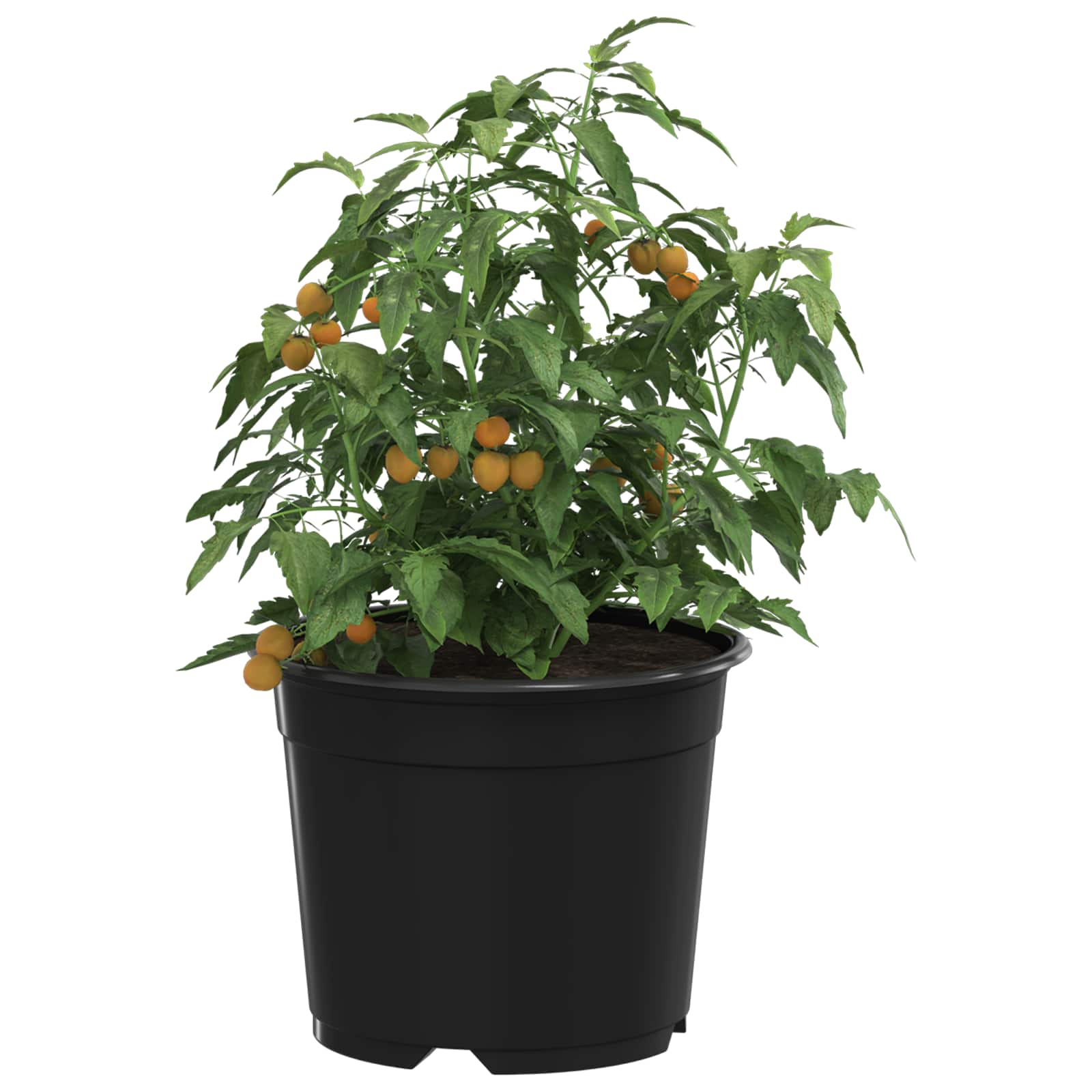 Vaso Rotondo per Fiori 200 pz Nero Ø 10 x 8 cm Plastica