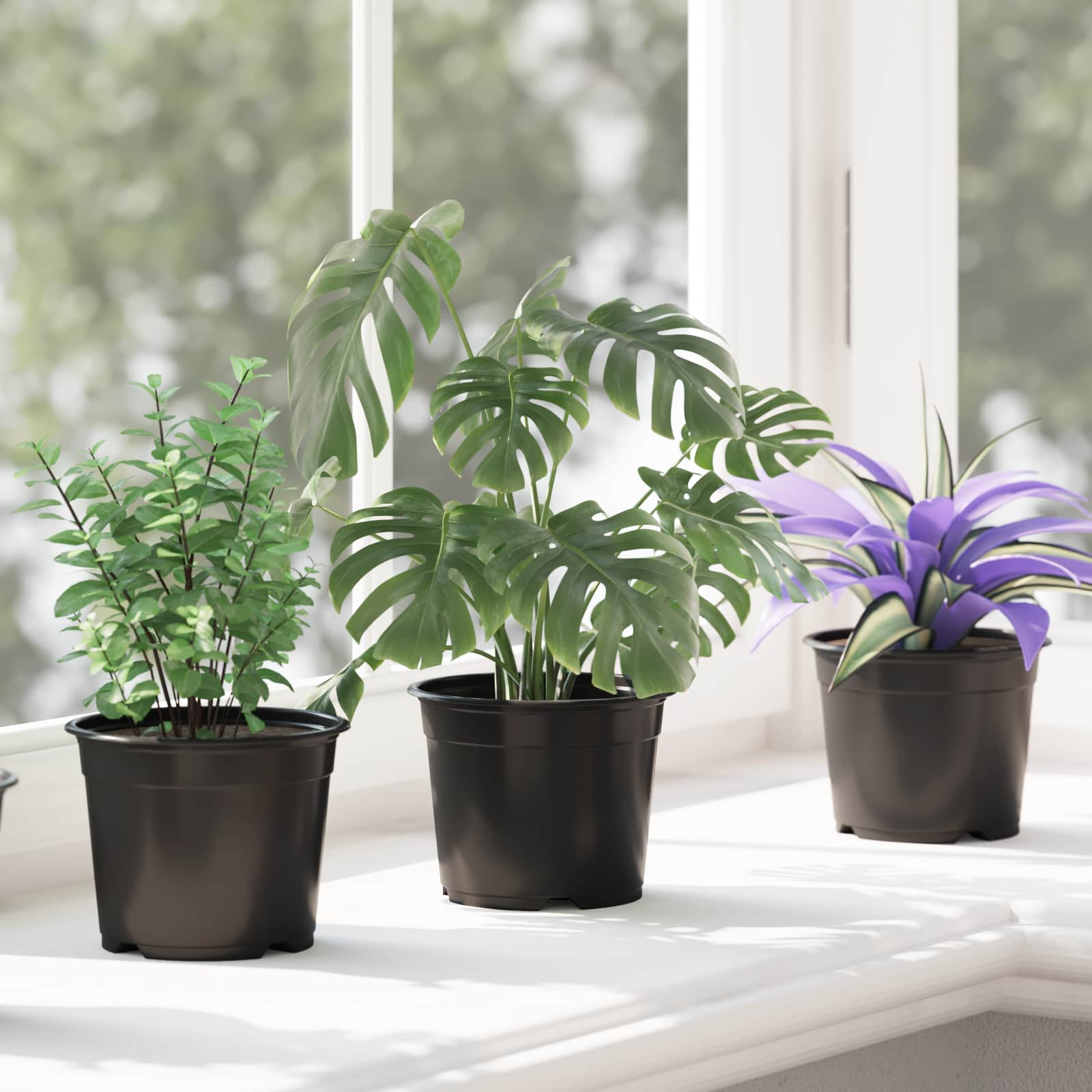 Vaso Rotondo per Fiori 200 pz Nero Ø 10 x 8 cm Plastica