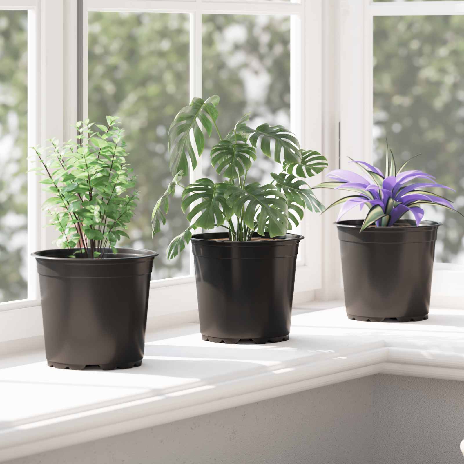 Vaso Rotondo per Fiori 50 pz Nero Ø 15 x 13 cm Plastica