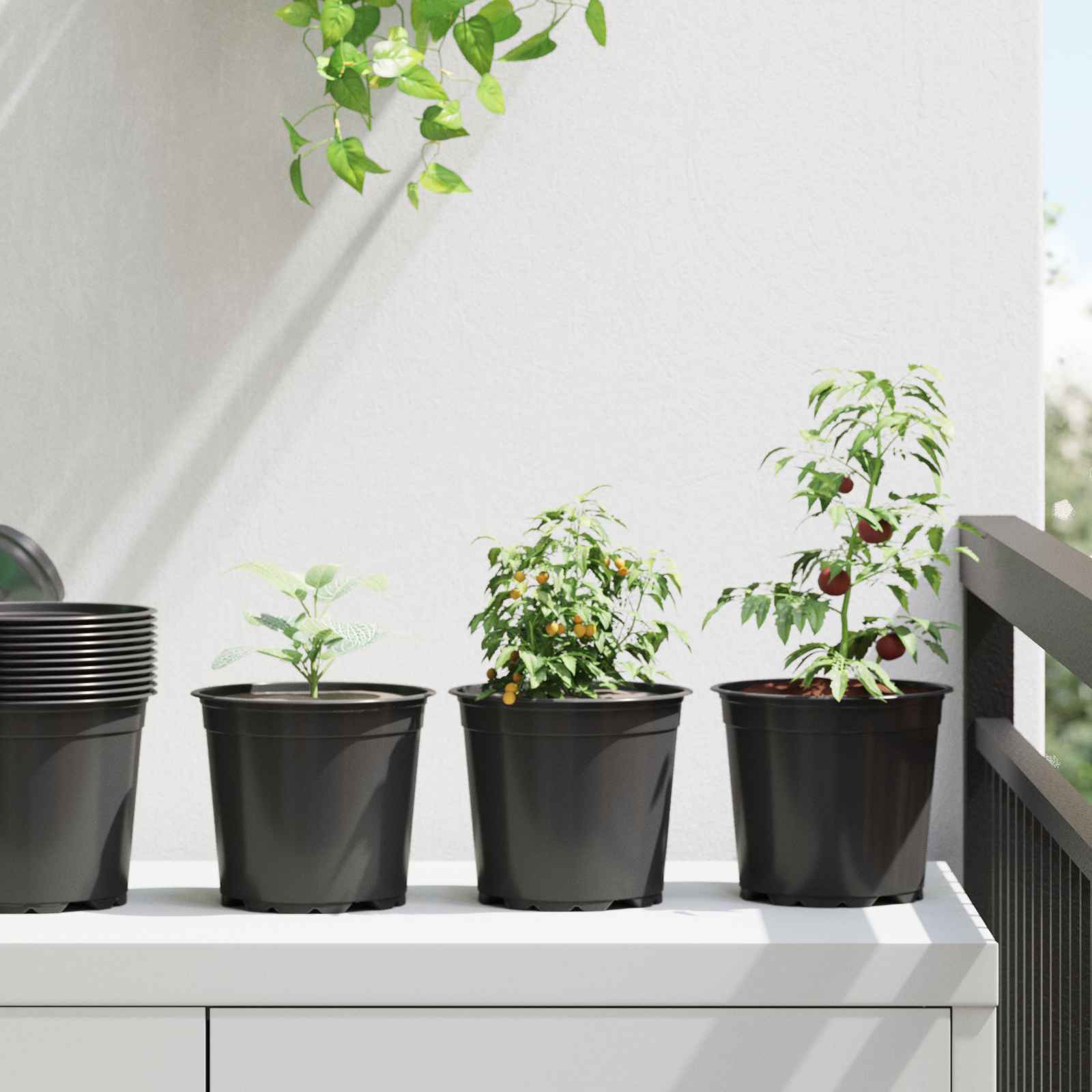 Vaso Rotondo per Fiori 200 pz Nero Ø 15 x 13 cm Plastica