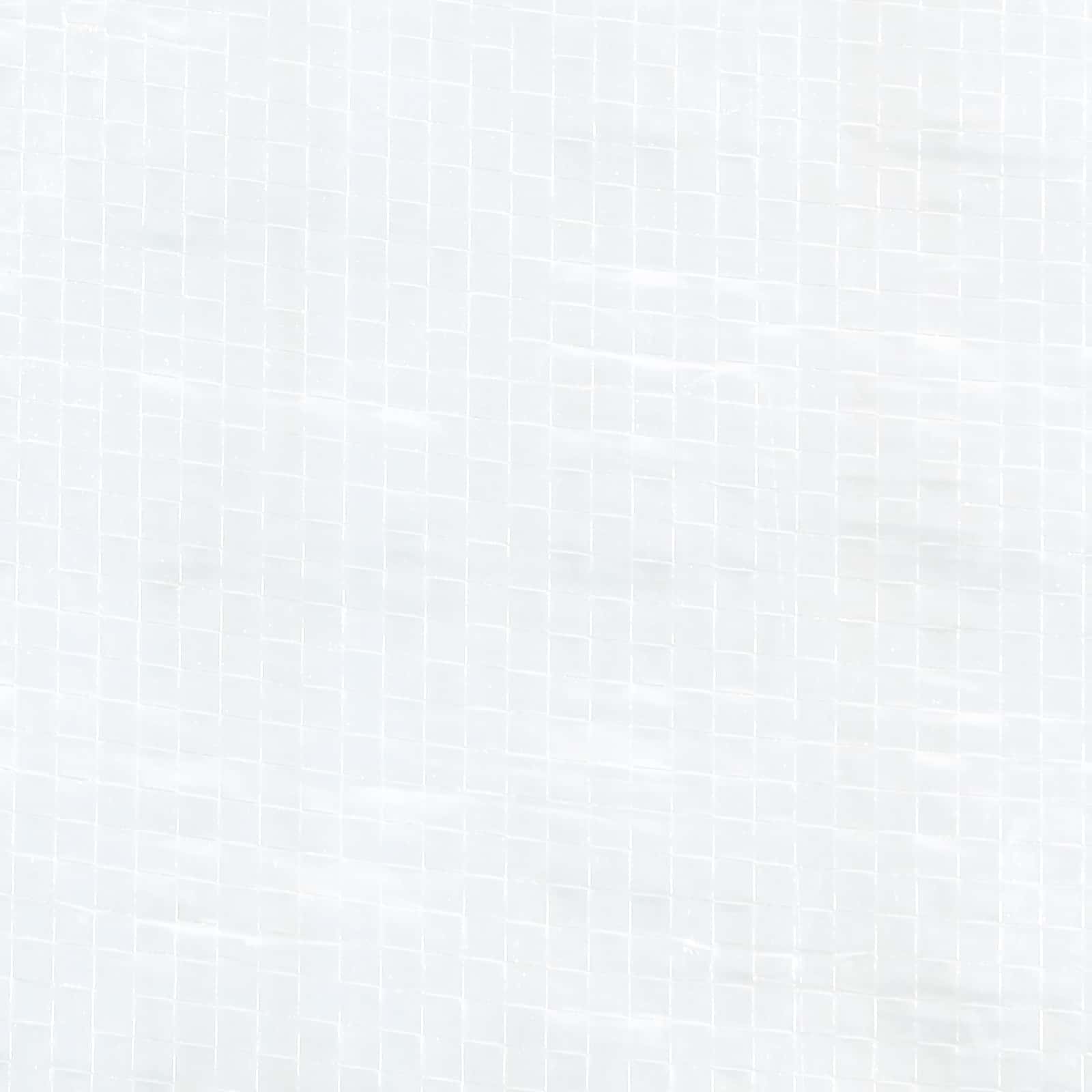 Parete per tenda da festa 2 pz 200 x 195 cm Bianco PE e Acciaio