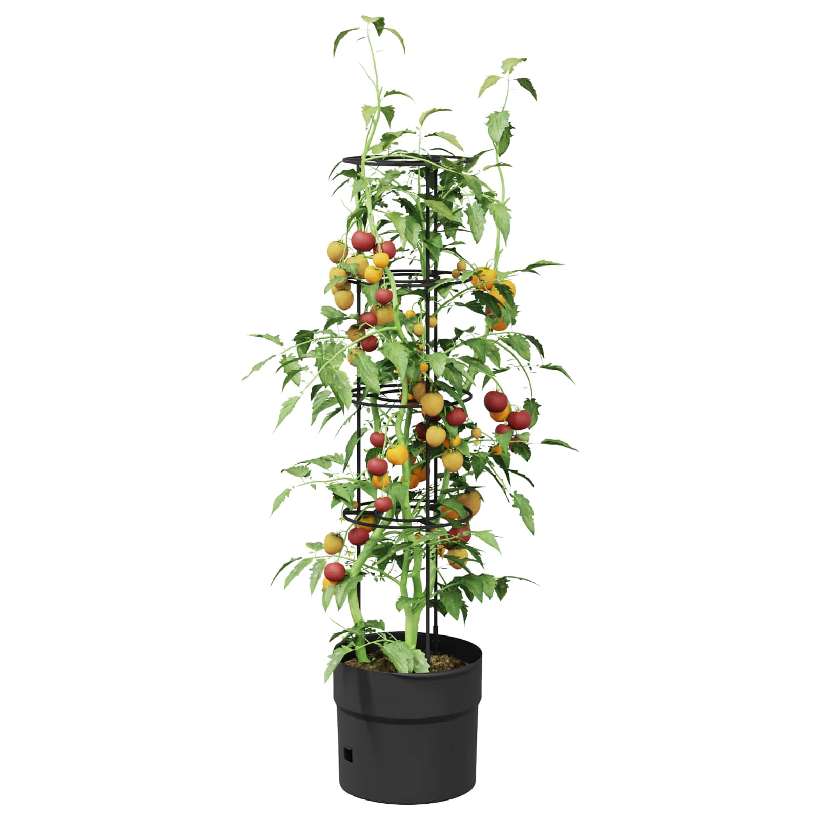 Coltivatore di pomodori Nero Ø 32 x 127 cm PP