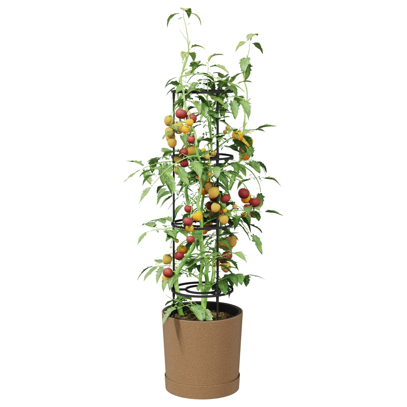 Coltivatore di pomodori Naturo ECO Ø 39 x 139 cm WPC