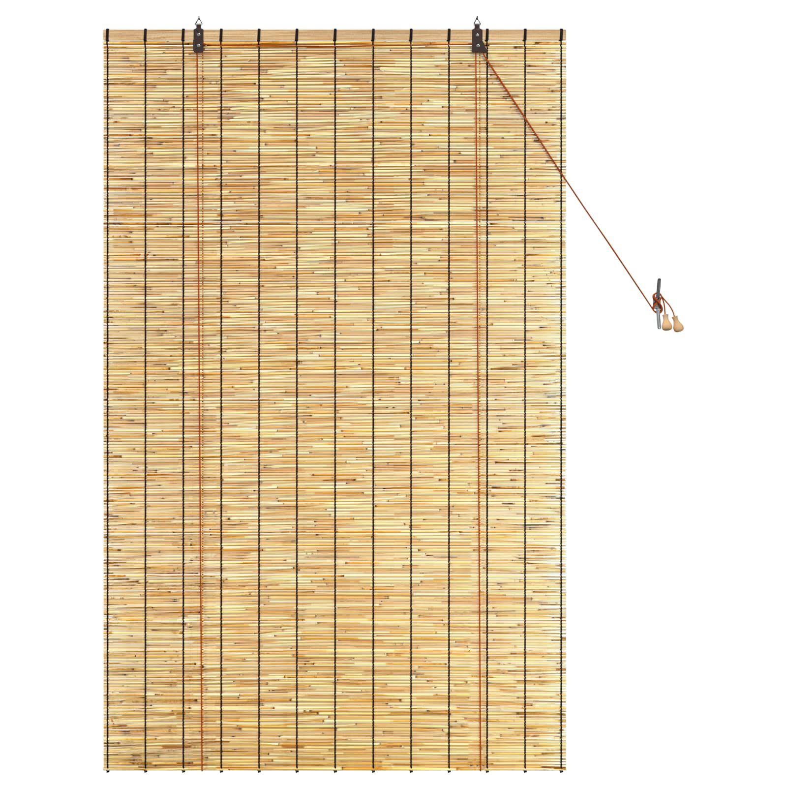 Tenda a rullo Naturale 100 x 160 cm Giunco