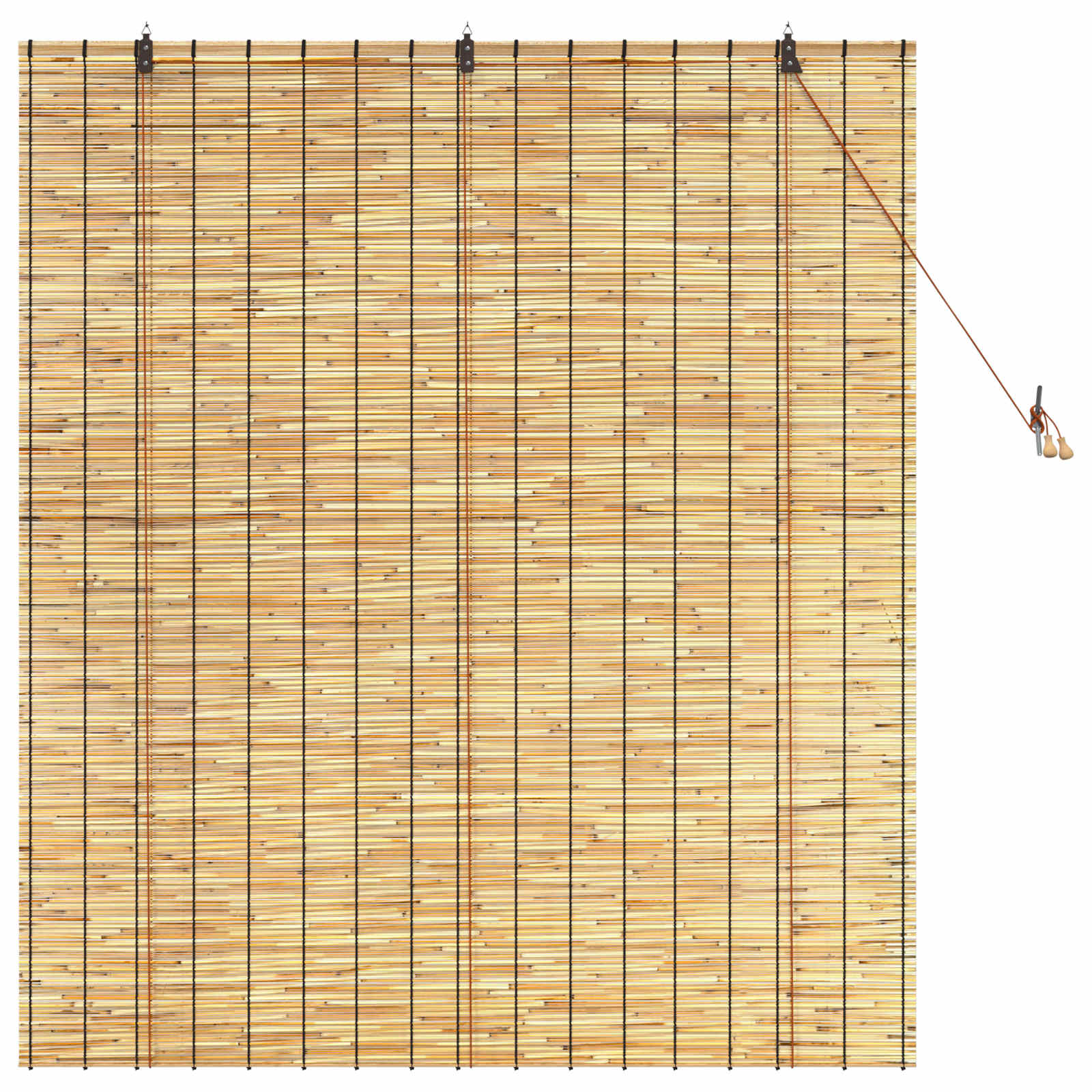Tenda a rullo Naturale 140 x 160 cm Giunco