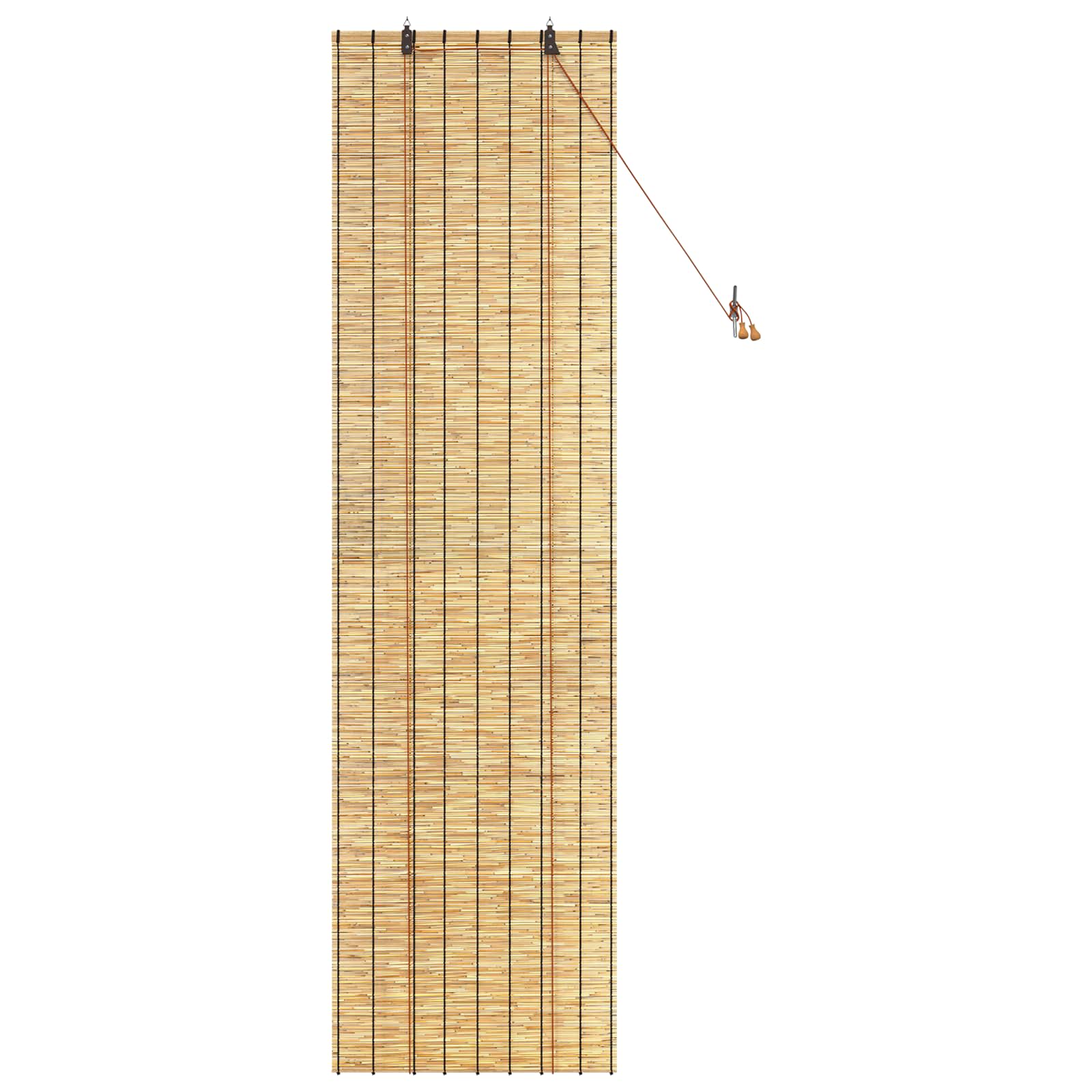 Tenda a rullo Naturale 60 x 220 cm Giunco