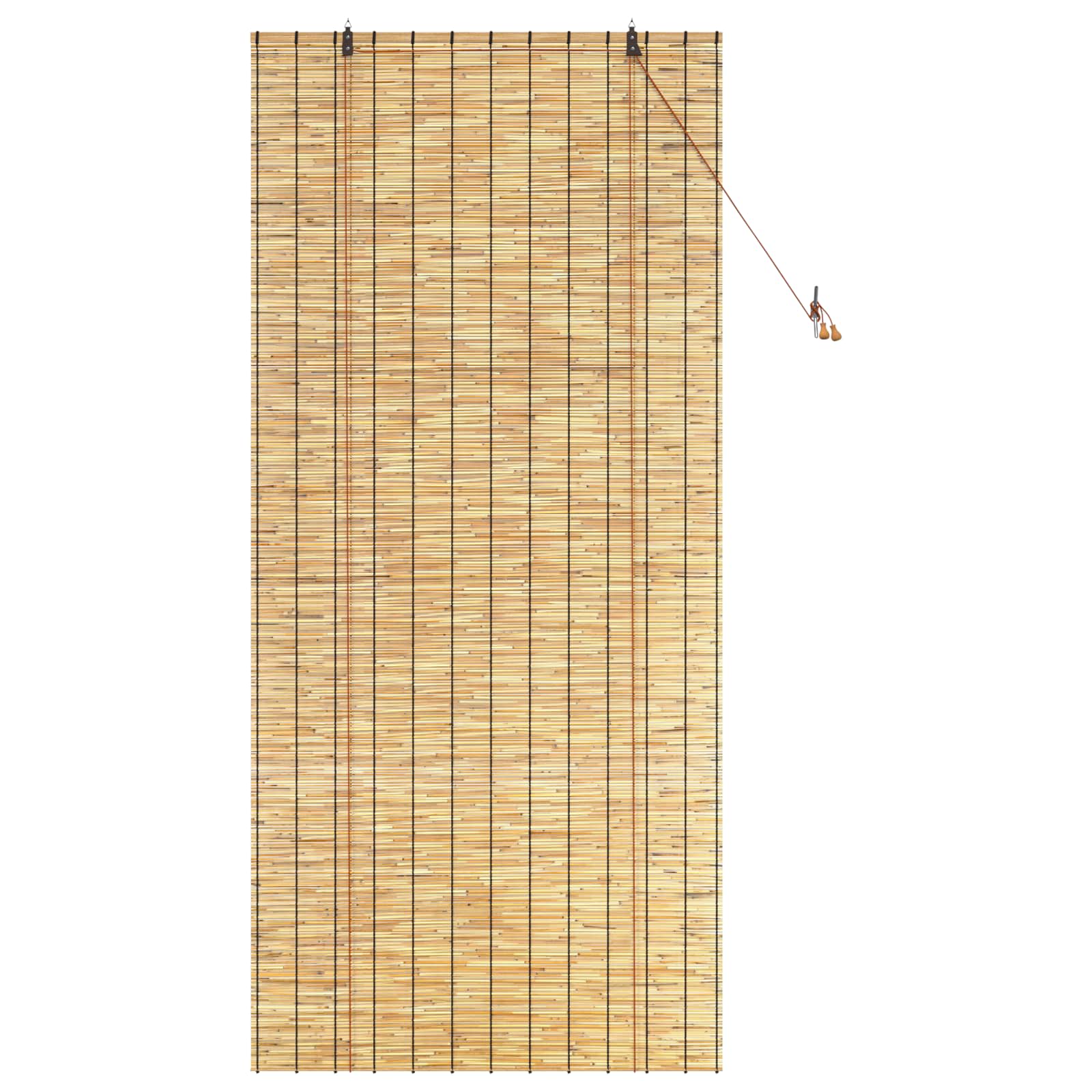 Tenda a rullo Naturale 100 x 220 cm Giunco