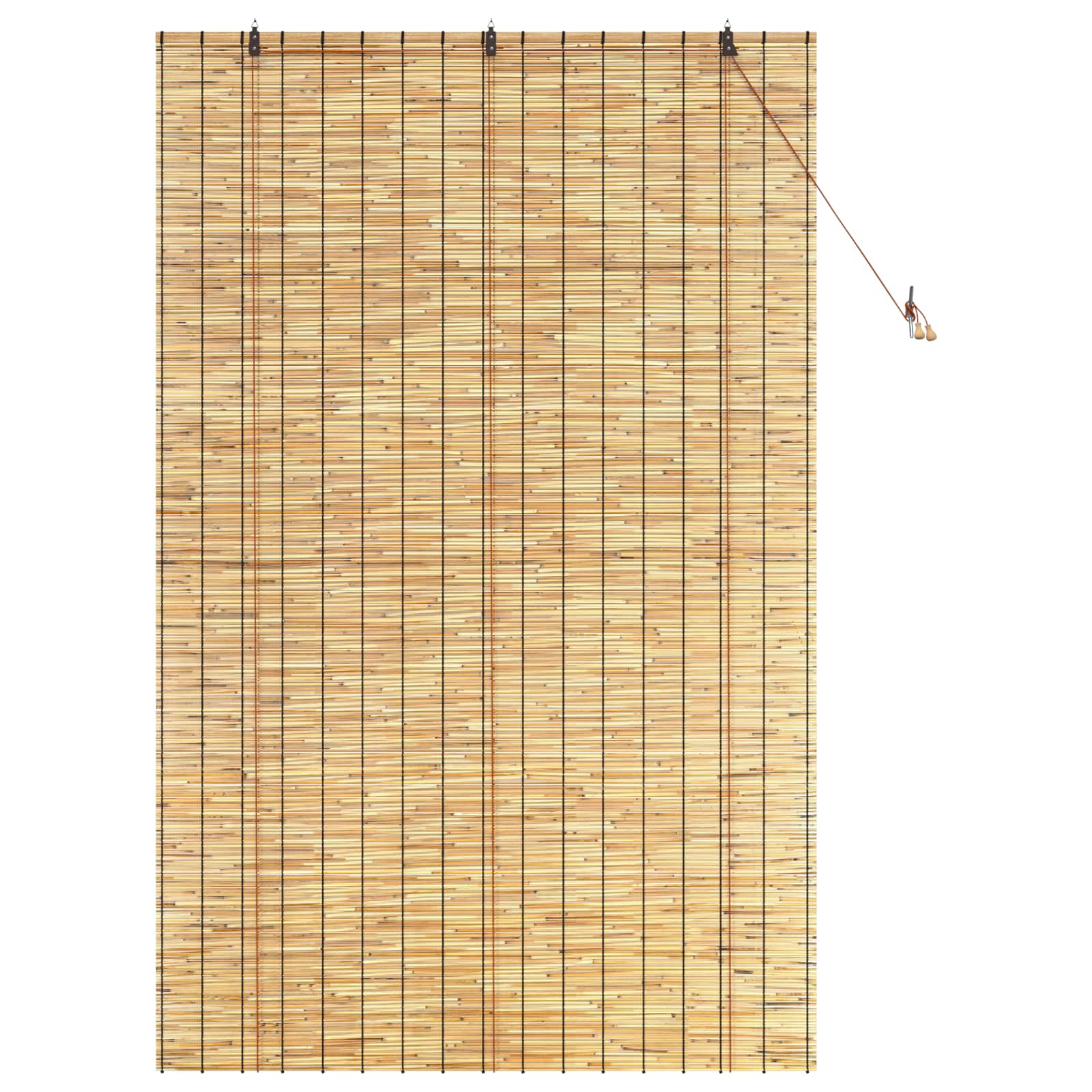 Tenda a rullo Naturale 140 x 220 cm Giunco